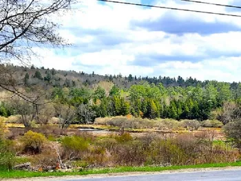 Property at #1 Brussell Street, Wells NY, NY 12190