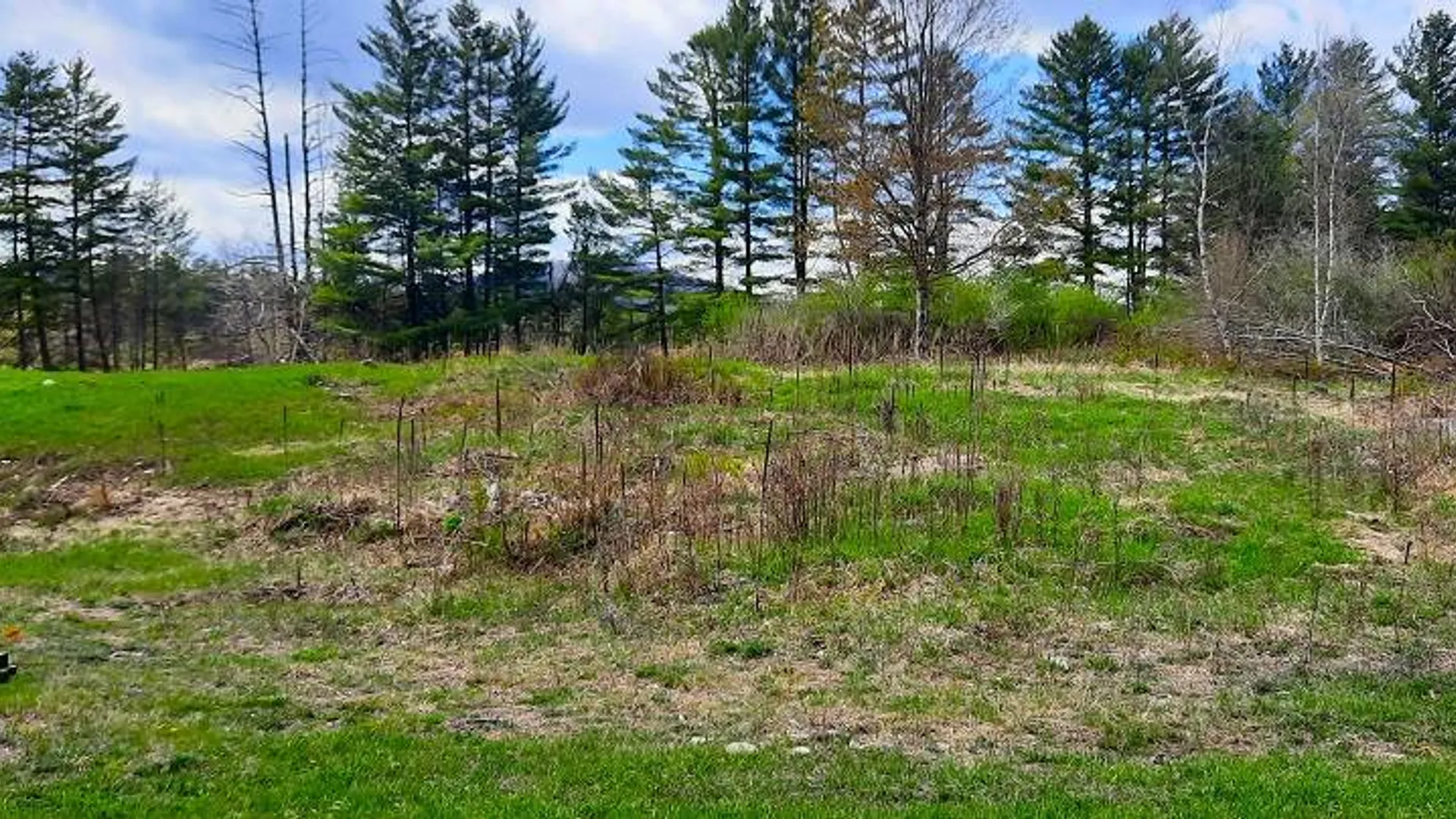 Property at #1 Brussell Street, Wells NY, NY 12190 2