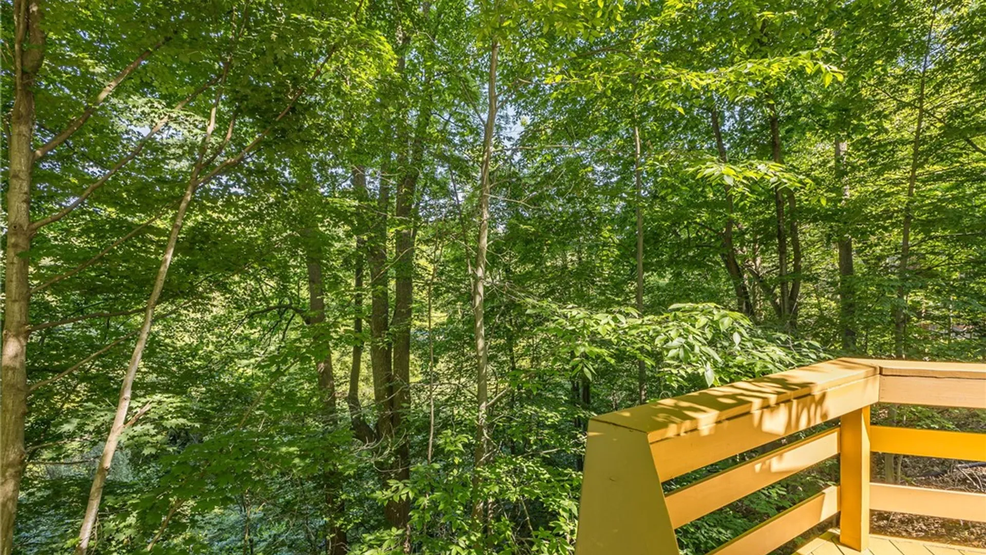 Property at 4 Auburndale, Pittsford, NY 14534 47