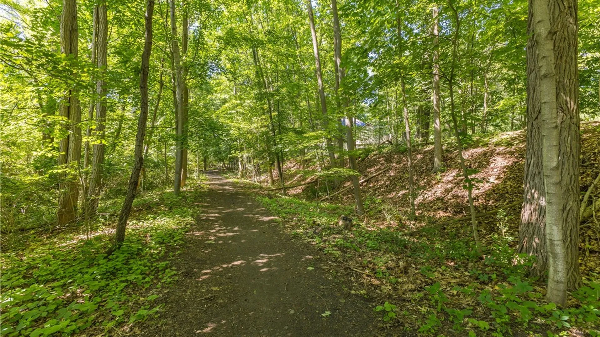 Property at 4 Auburndale, Pittsford, NY 14534 50