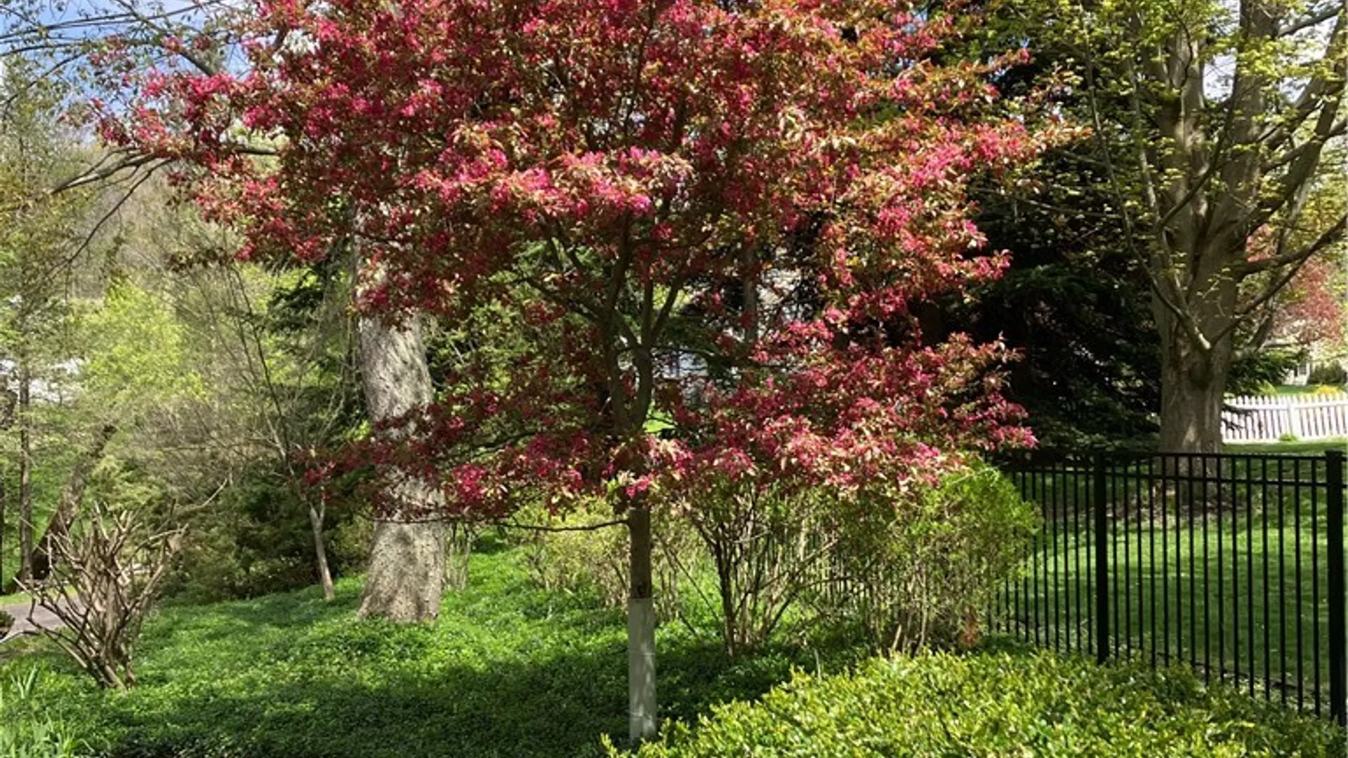 Property at 3 Wind Song, Pittsford, NY 14450 43
