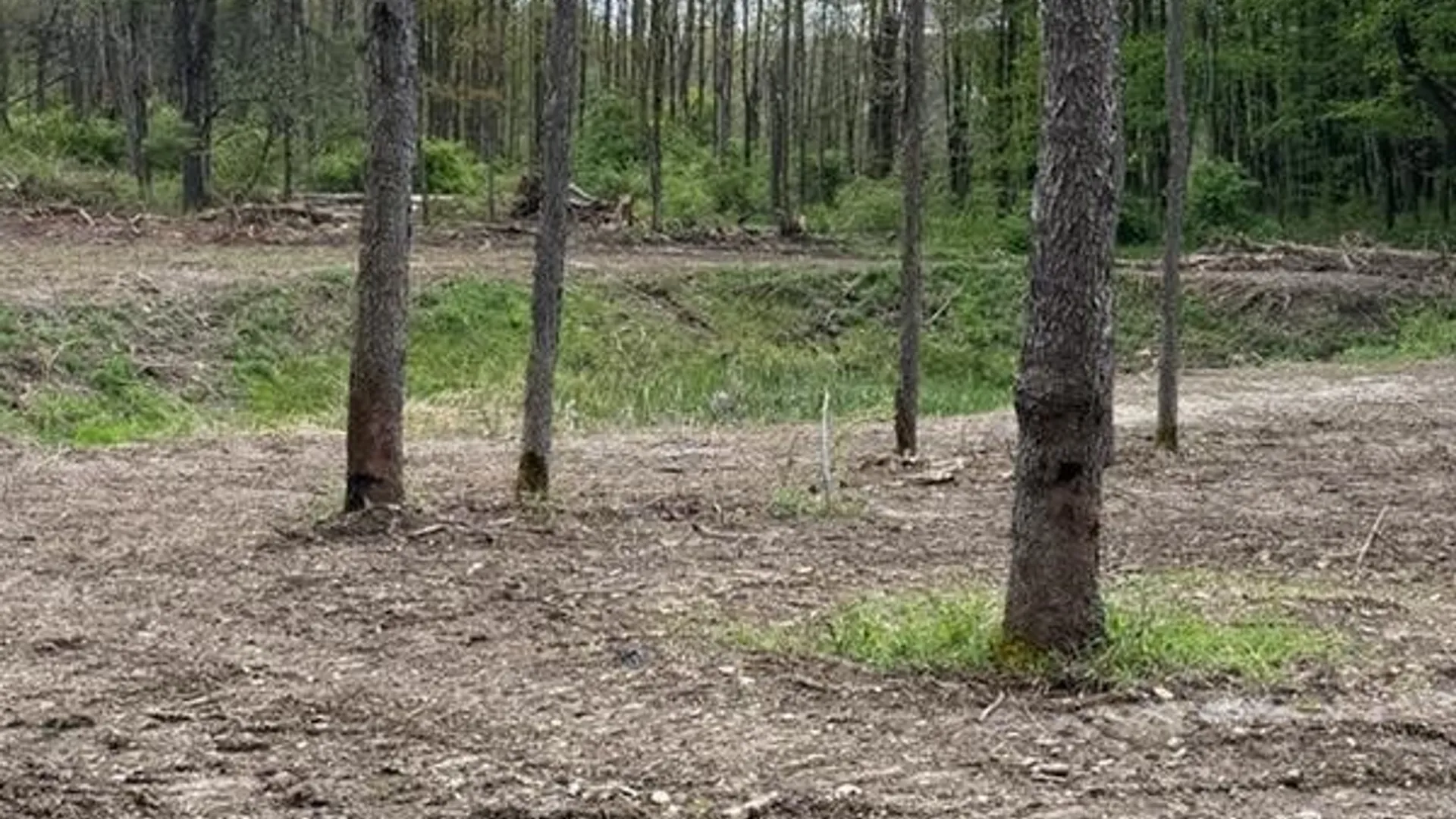 Property at 4371 Lawson Road, Busti, NY 14701 4