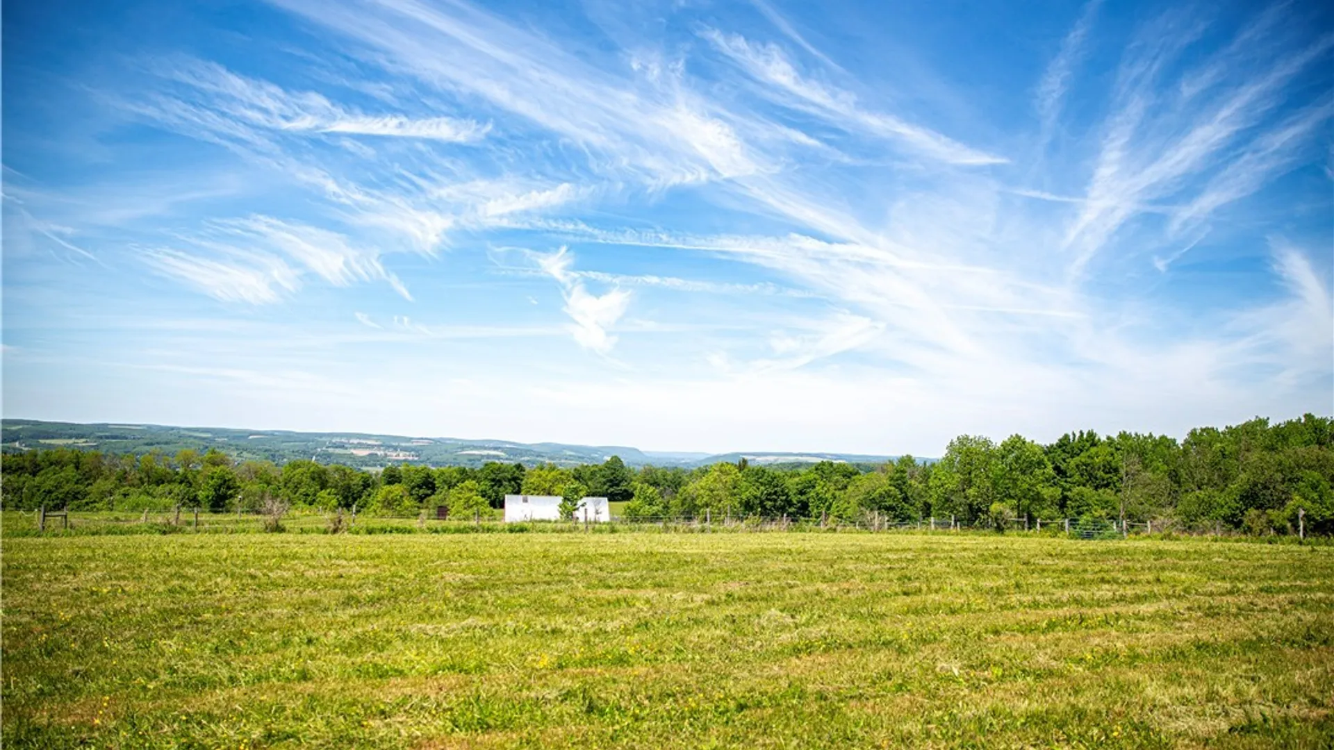Property at 870 Sherman Road, Virgil, NY 13045 42