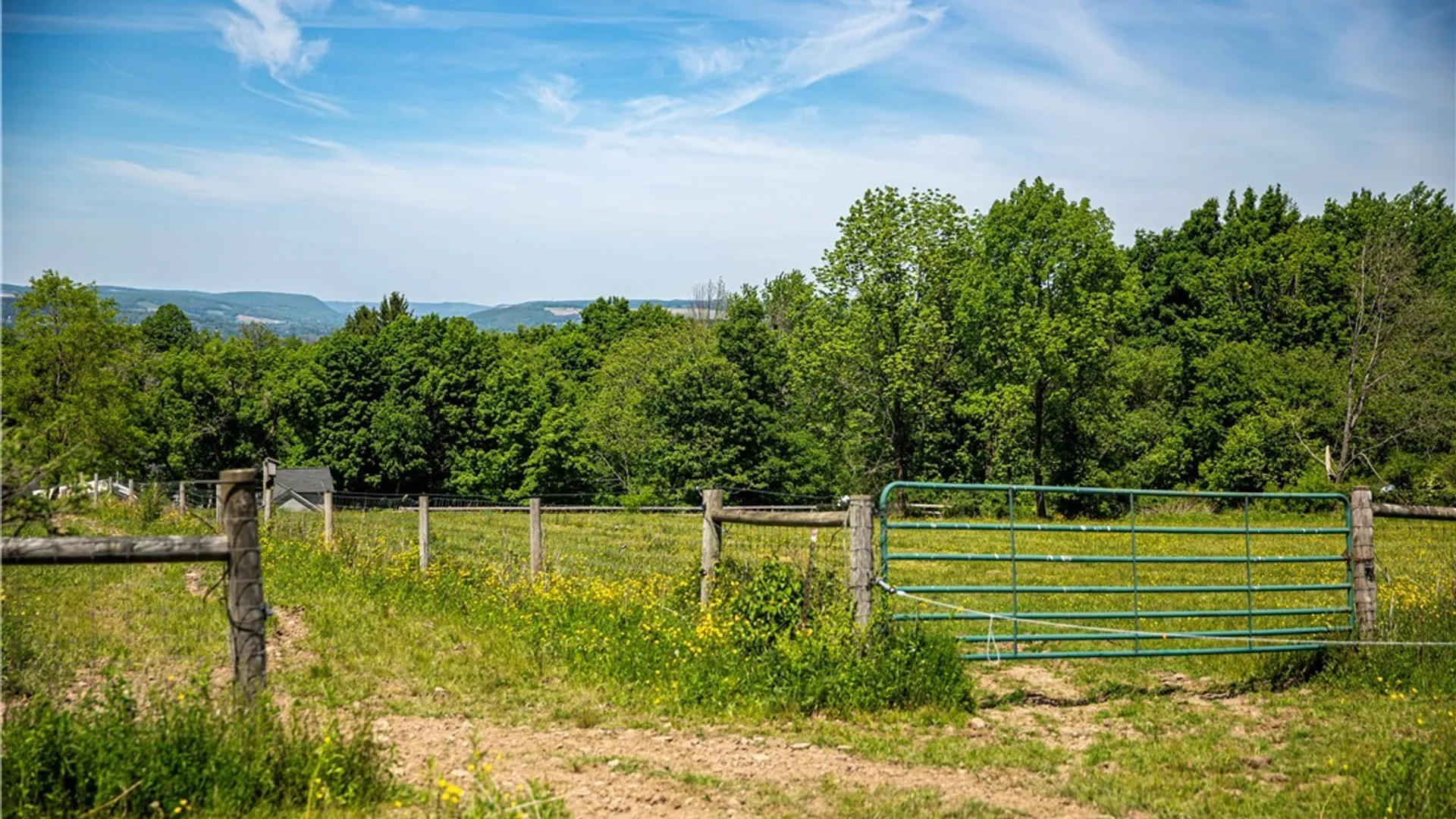 Property at 870 Sherman Road, Virgil, NY 13045 43