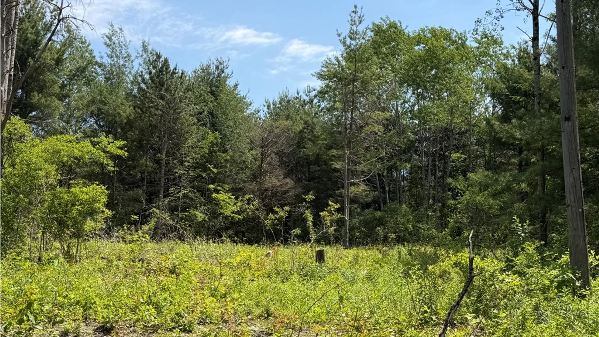 Property at 2395 County Road 23, Reading, NY 14891 22