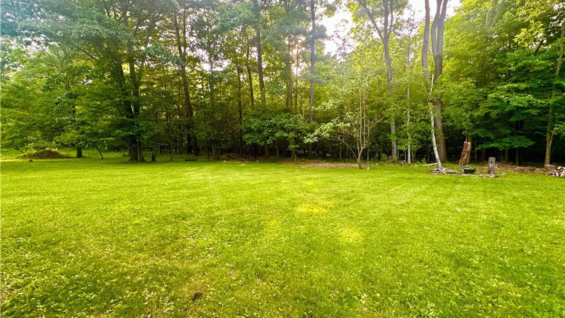 Property at 25 Hazelwood Avenue, Big Flats, NY 14905 35