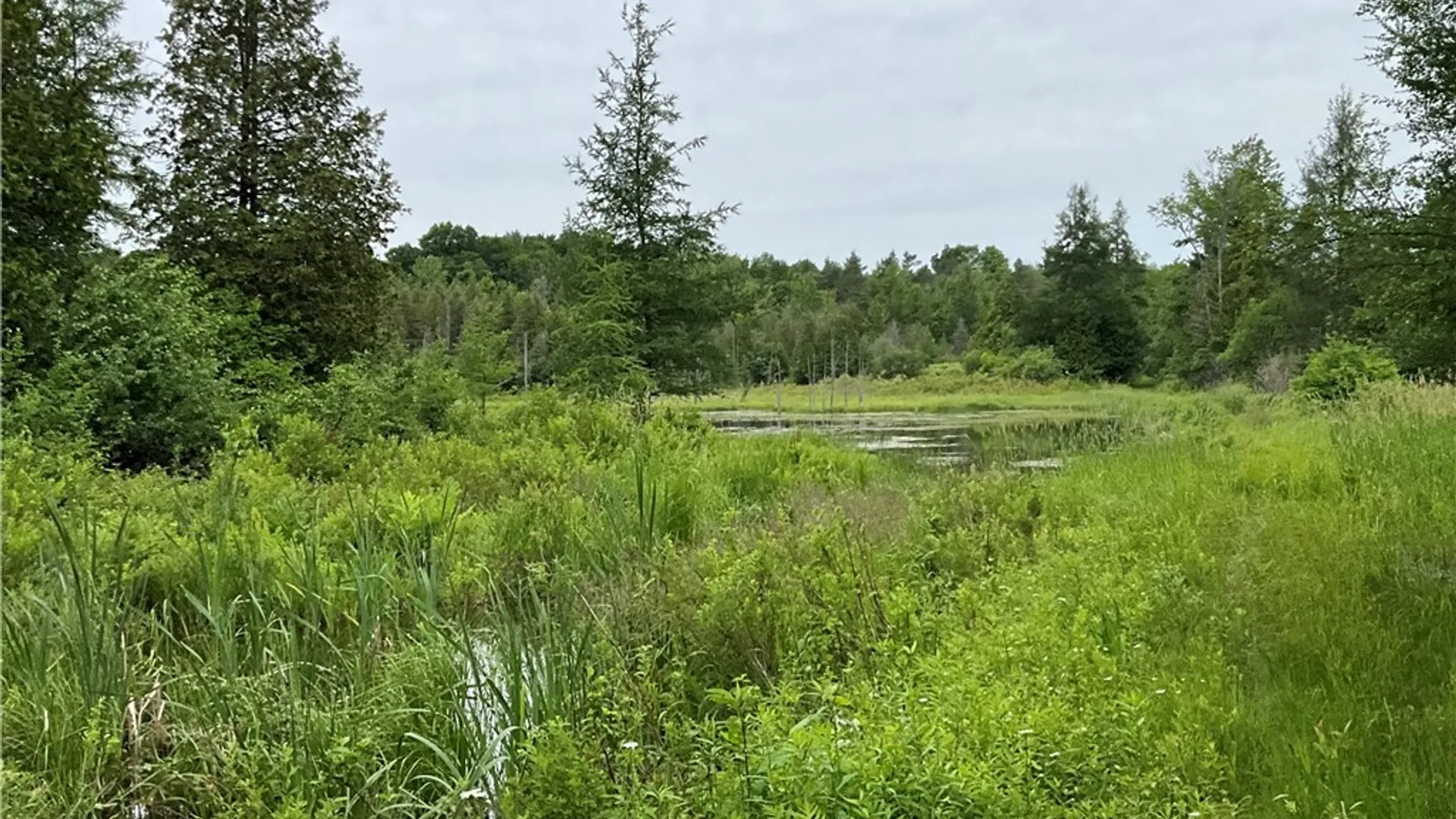 Property at 00 County Route 35, Potsdam, NY 13676 11