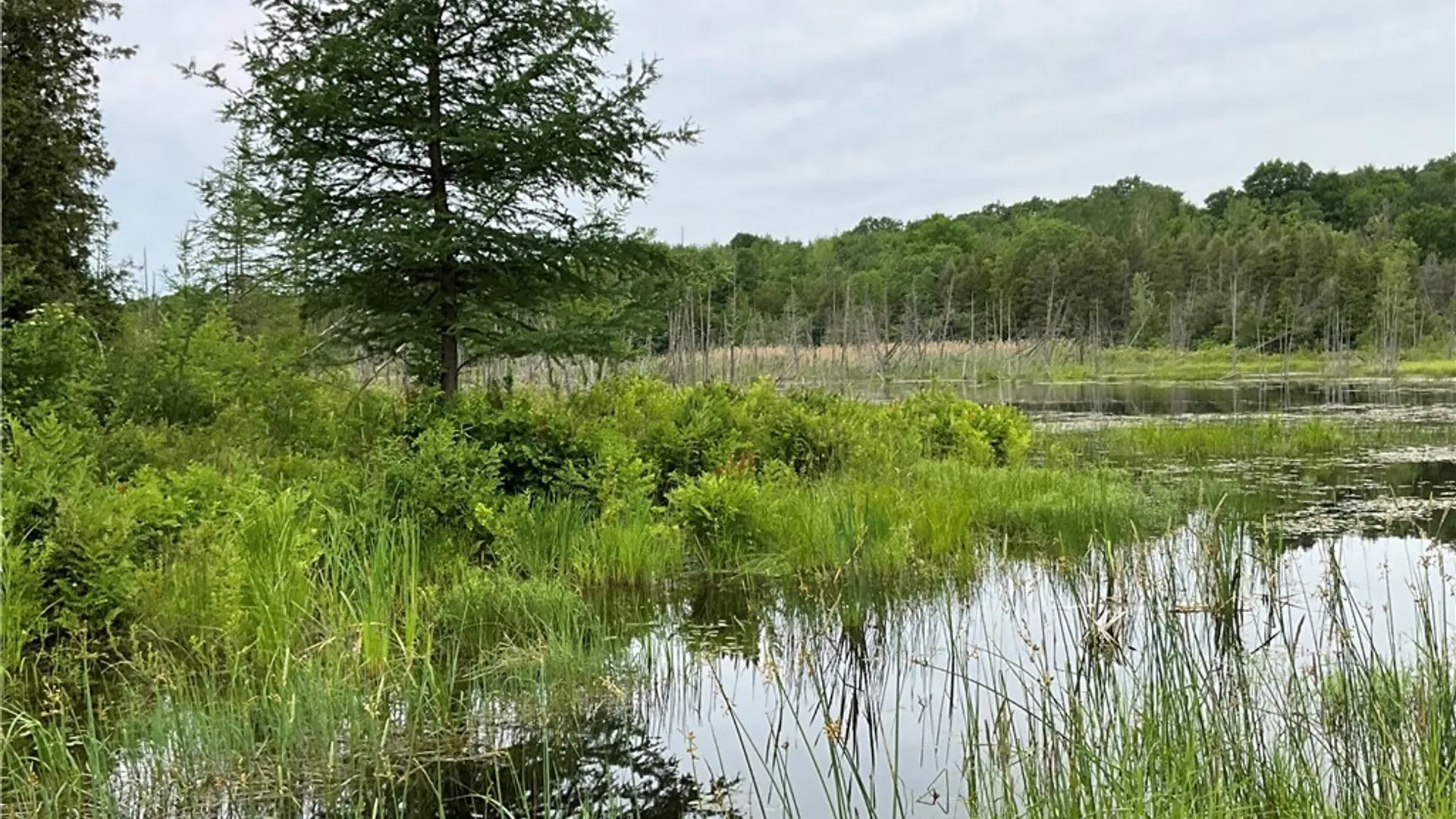 Property at 00 County Route 35, Potsdam, NY 13676 12