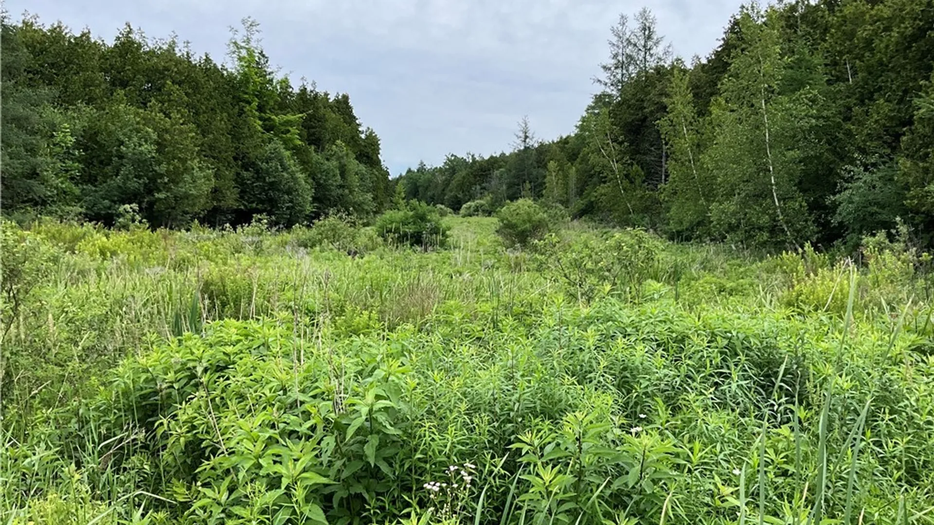 Property at 00 County Route 35, Potsdam, NY 13676 15