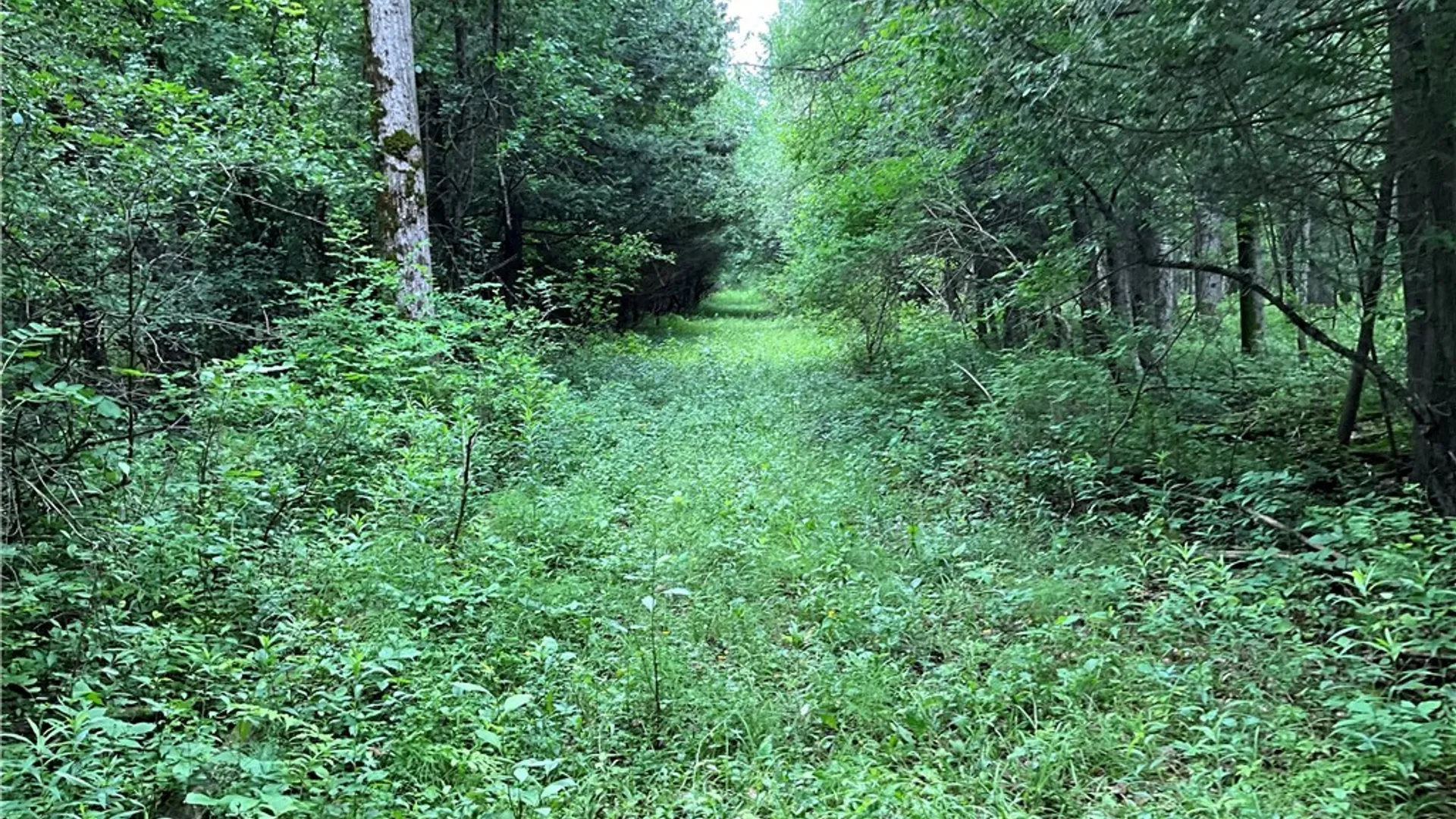 Property at 00 County Route 35, Potsdam, NY 13676 17