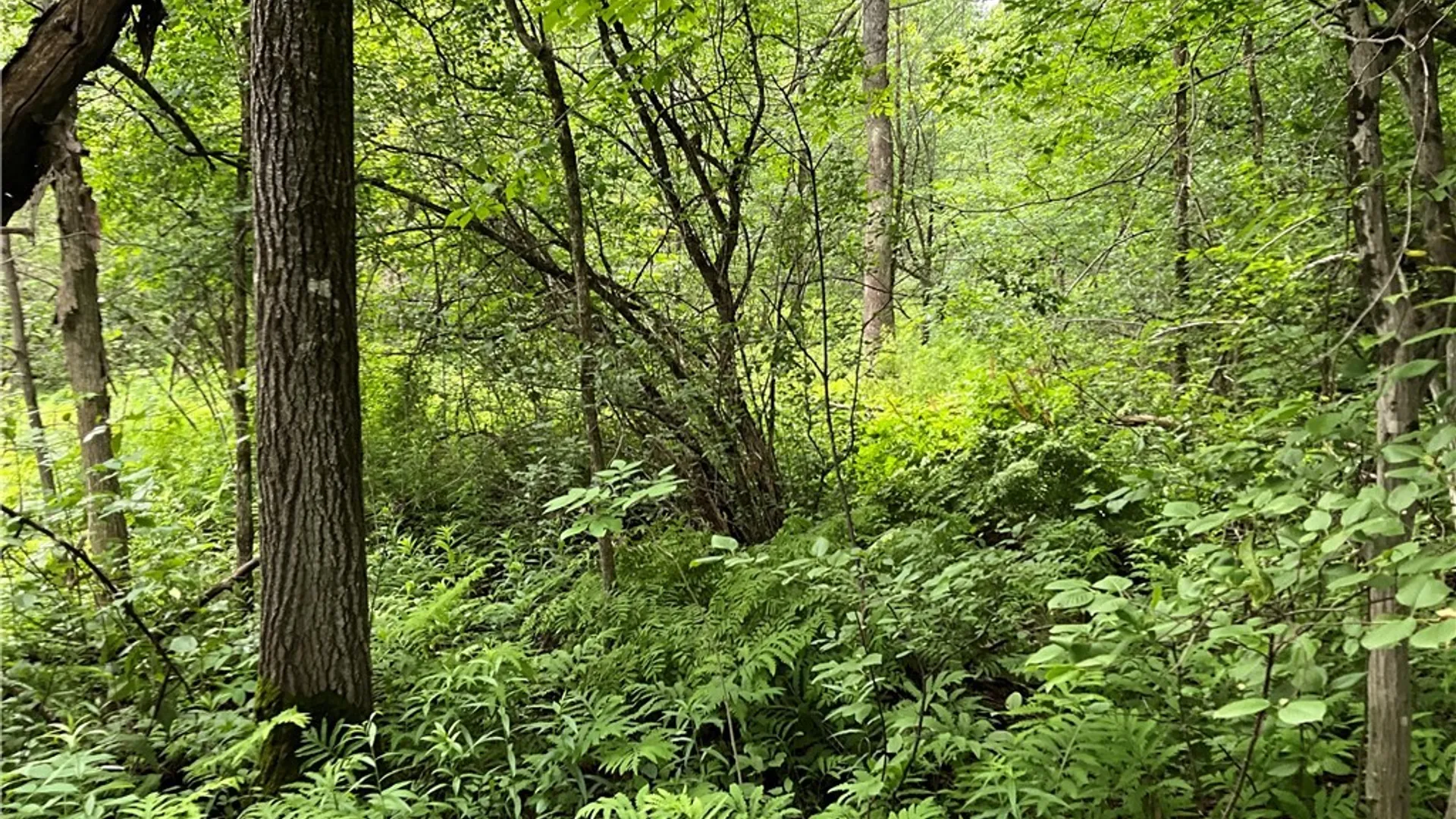 Property at 00 County Route 35, Potsdam, NY 13676 20