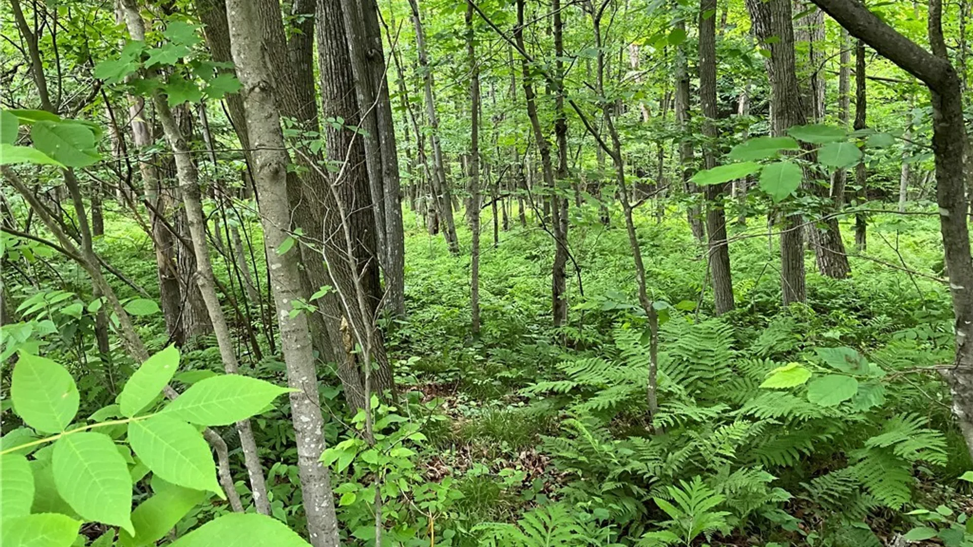 Property at 00 County Route 35, Potsdam, NY 13676 23