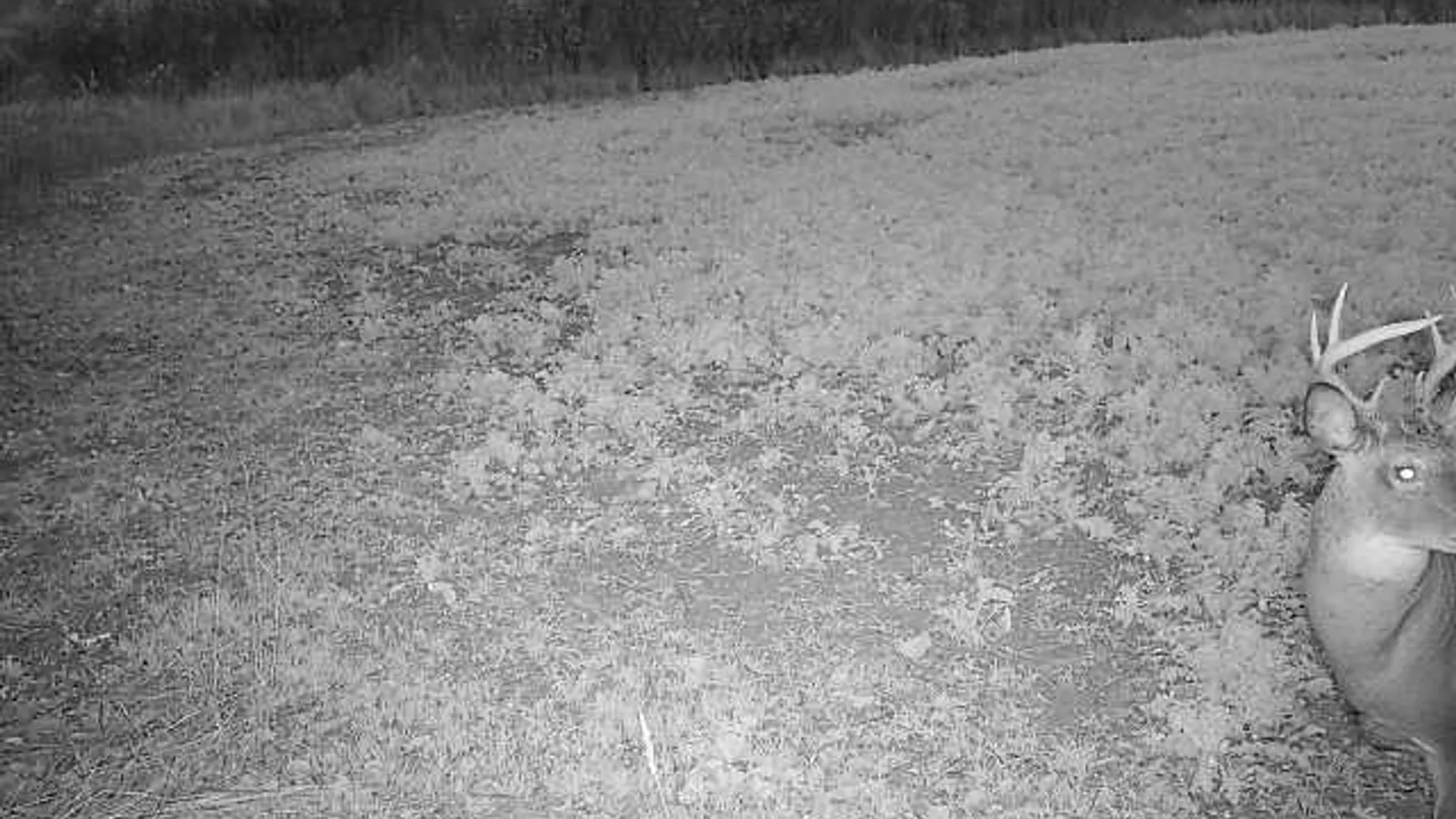Property at 00 County Route 35, Potsdam, NY 13676 5