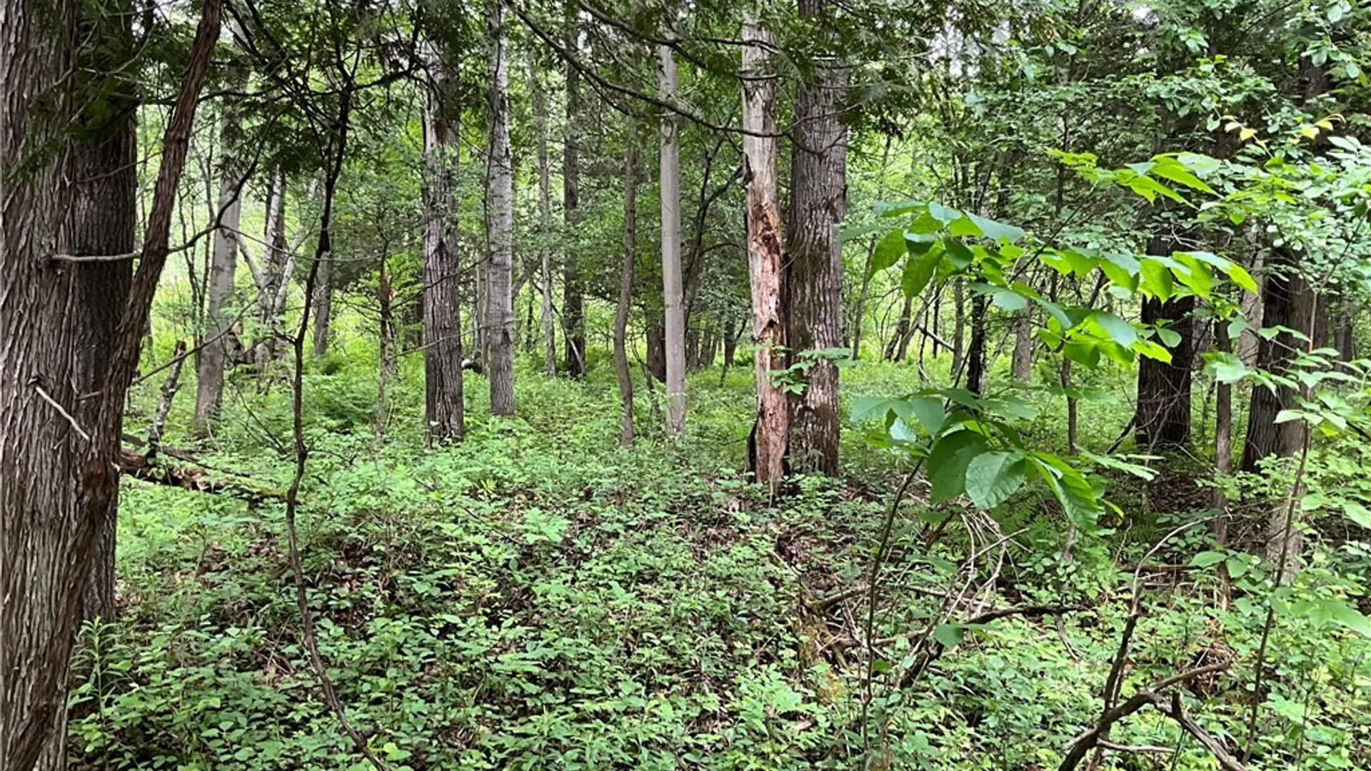 Property at 00 County Route 35, Potsdam, NY 13676 9
