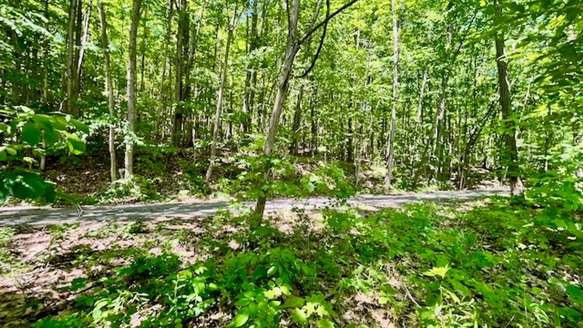 Property at 970 Taughannock Boulevard, Ithaca Town, NY 14850 37