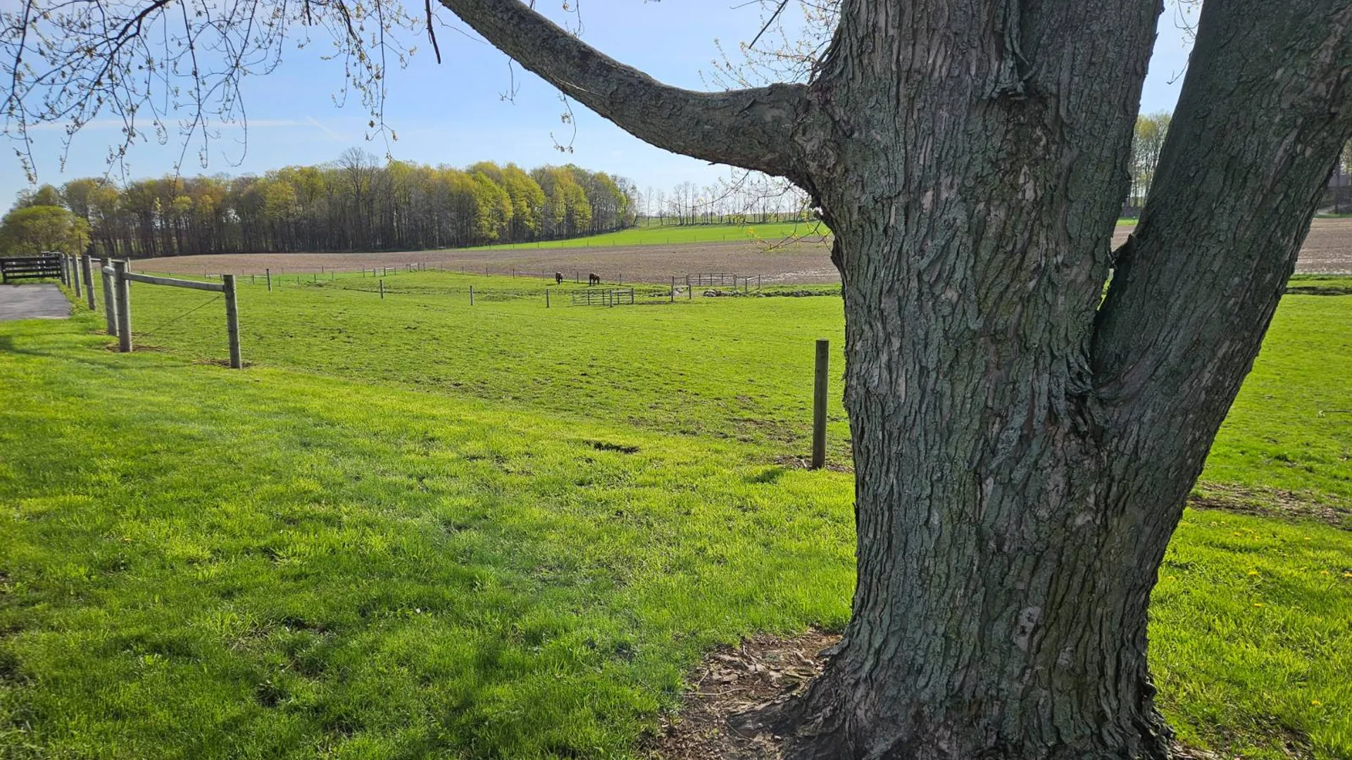 Property at 8369 Richmond Rd., LeRoy,, NY 14482 10