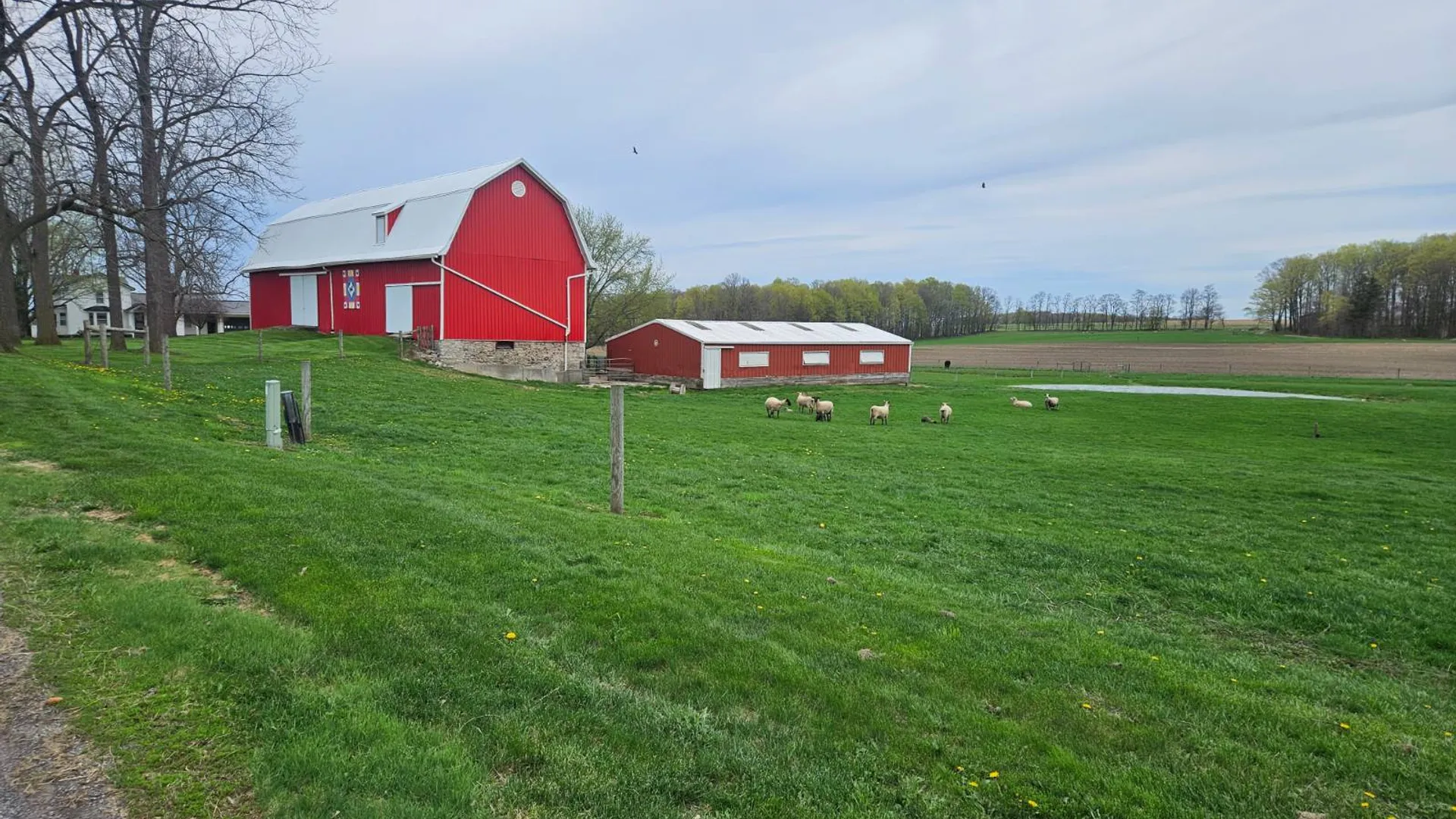 Property at 8369 Richmond Rd., LeRoy,, NY 14482 53
