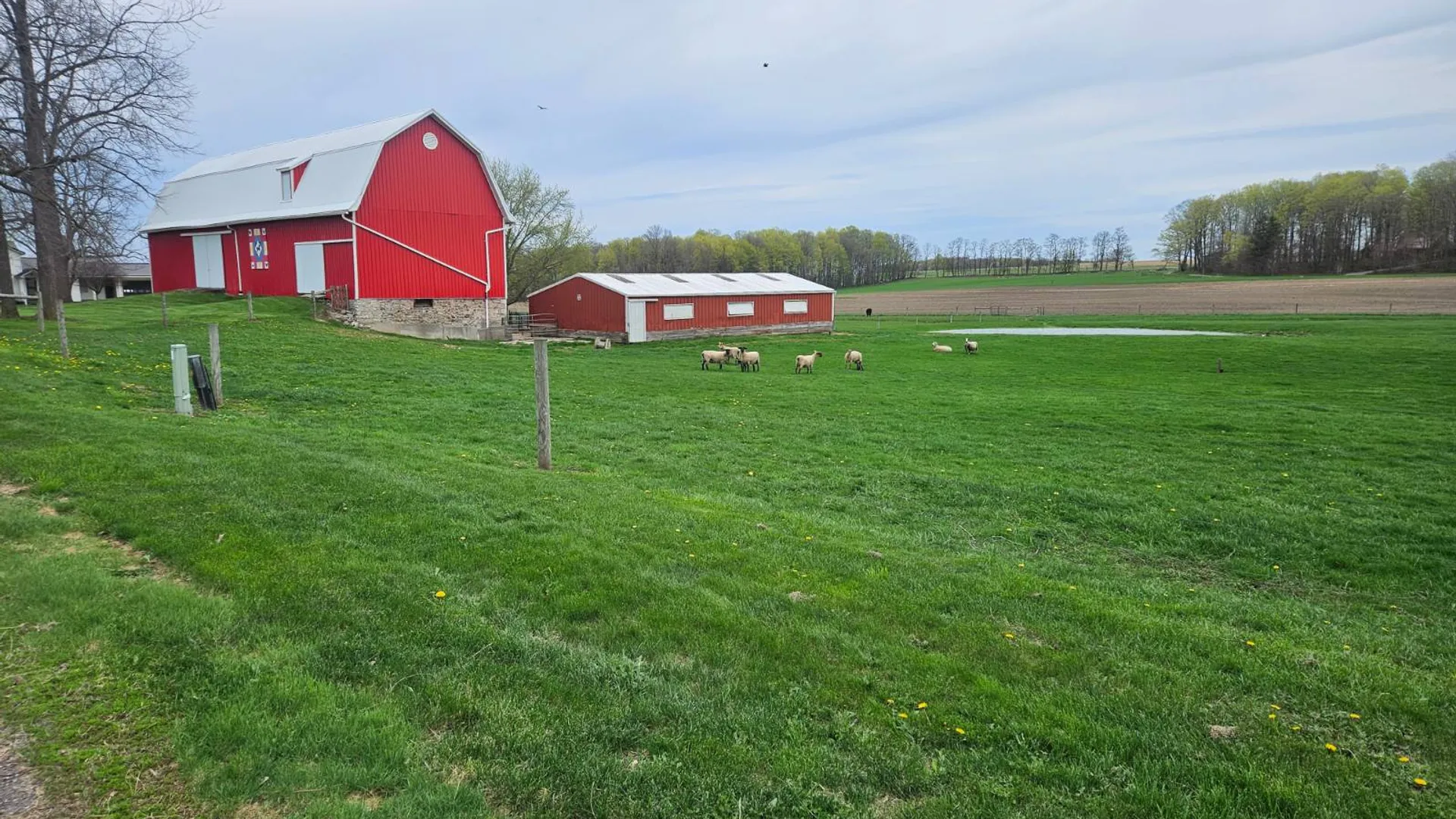 Property at 8369 Richmond Rd., LeRoy,, NY 14482 54