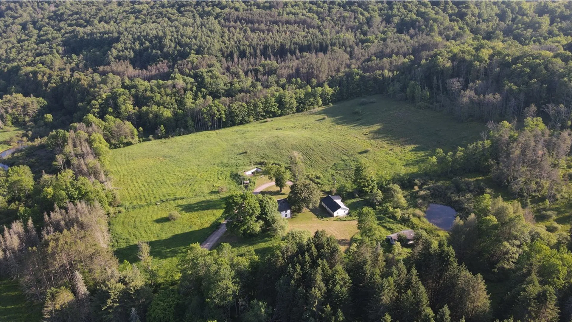 Property at 121 Palmer Road, Jefferson, NY 12093 49