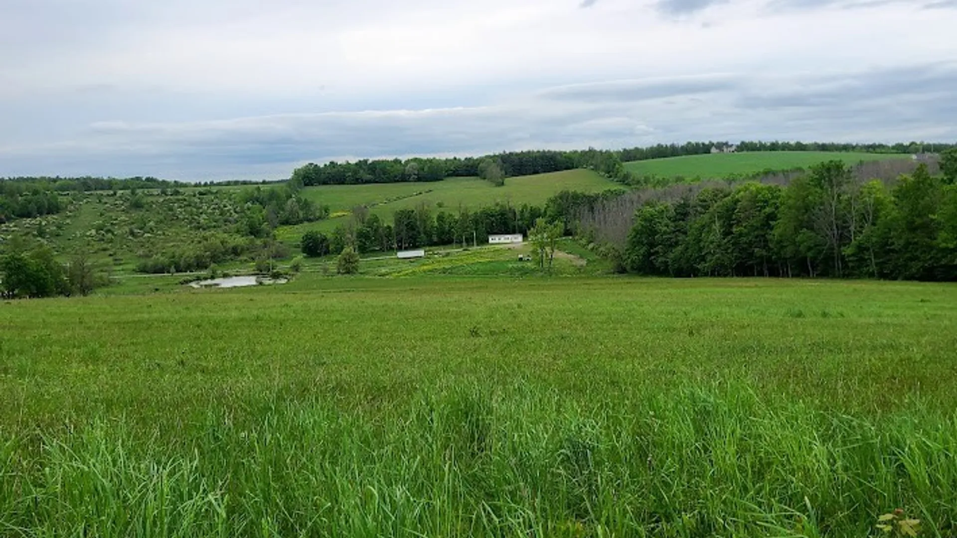 Property at 10815 Church Creek Road, Caton, NY 14830 3