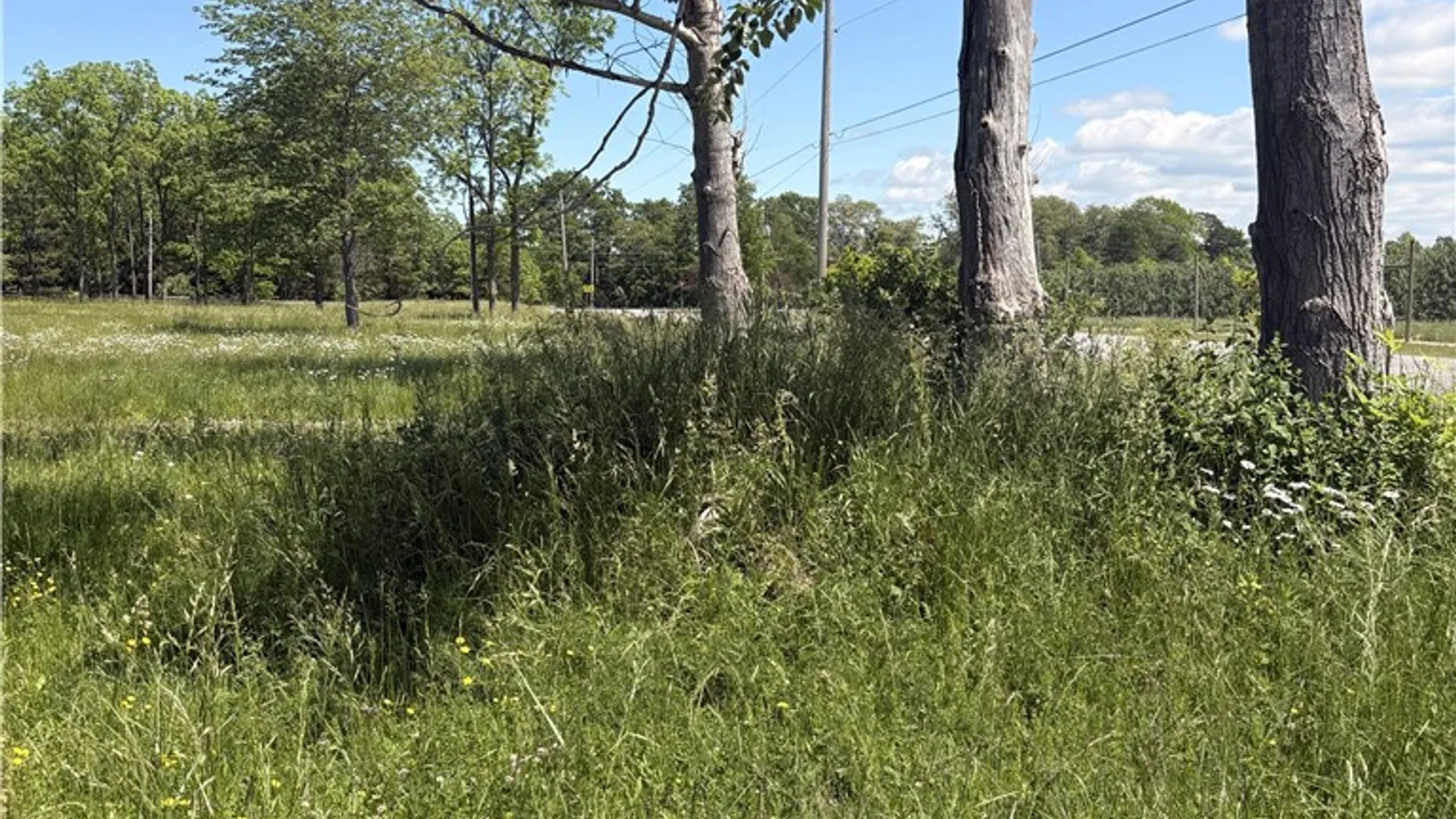 Property at Kendrick Road, Carlton, NY 14411 3
