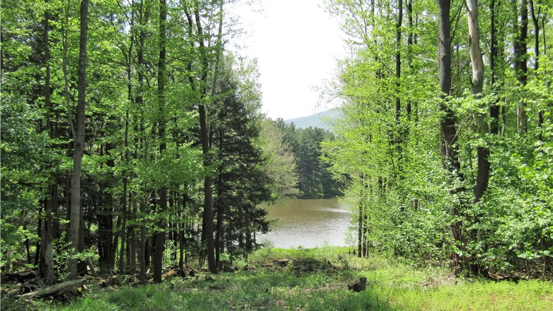 Property at 125 Mayhem Pond Drive, Gilboa, NY 12167 10