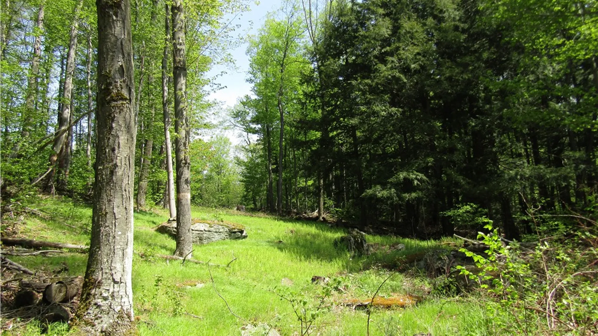 Property at 125 Mayhem Pond Drive, Gilboa, NY 12167 12
