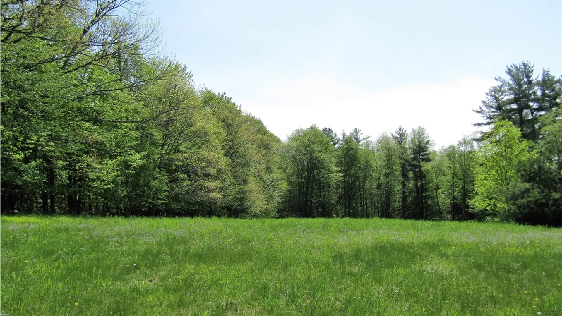 Property at 125 Mayhem Pond Drive, Gilboa, NY 12167 2
