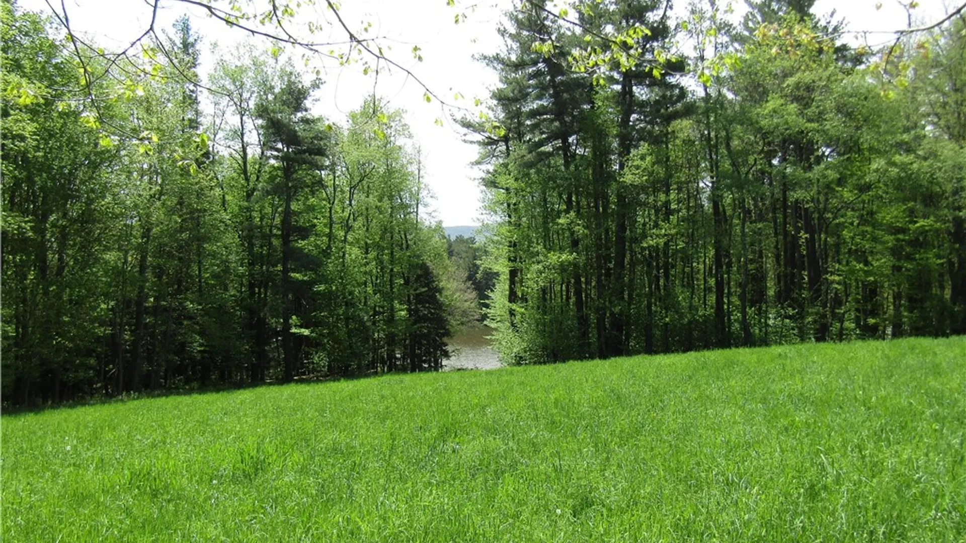 Property at 125 Mayhem Pond Drive, Gilboa, NY 12167 22
