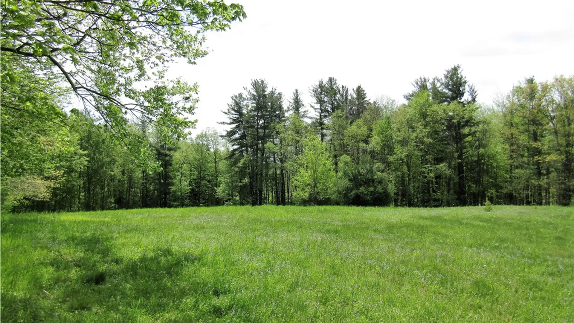 Property at 125 Mayhem Pond Drive, Gilboa, NY 12167 24