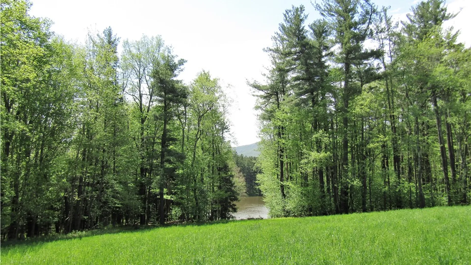 Property at 125 Mayhem Pond Drive, Gilboa, NY 12167 29