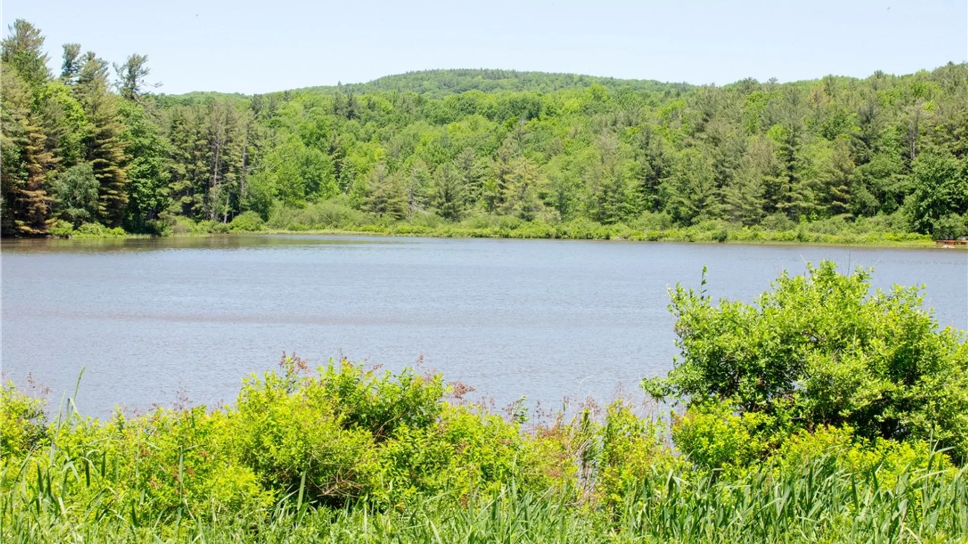 Property at 125 Mayhem Pond Drive, Gilboa, NY 12167 31