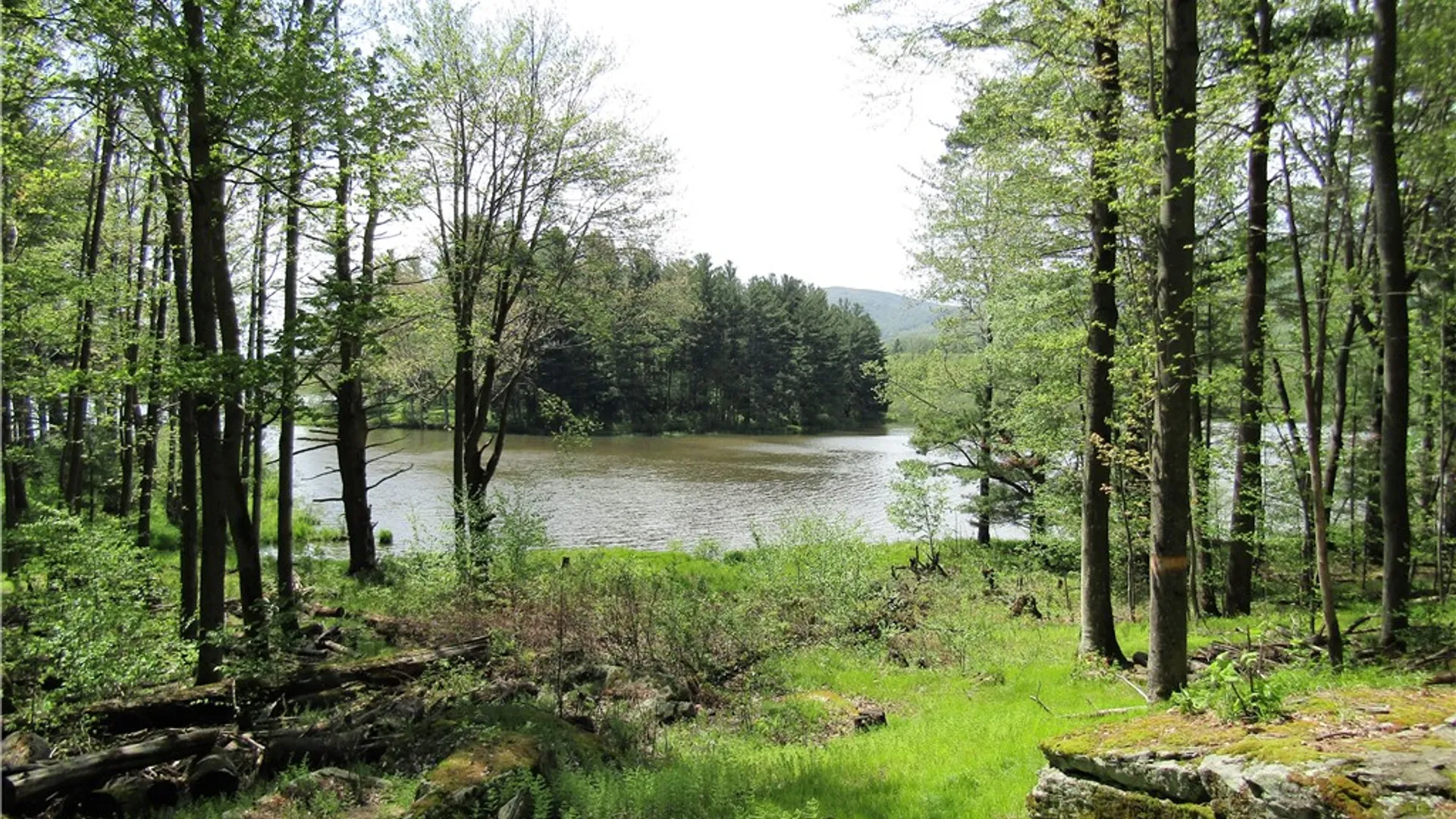 Property at 125 Mayhem Pond Drive, Gilboa, NY 12167 6