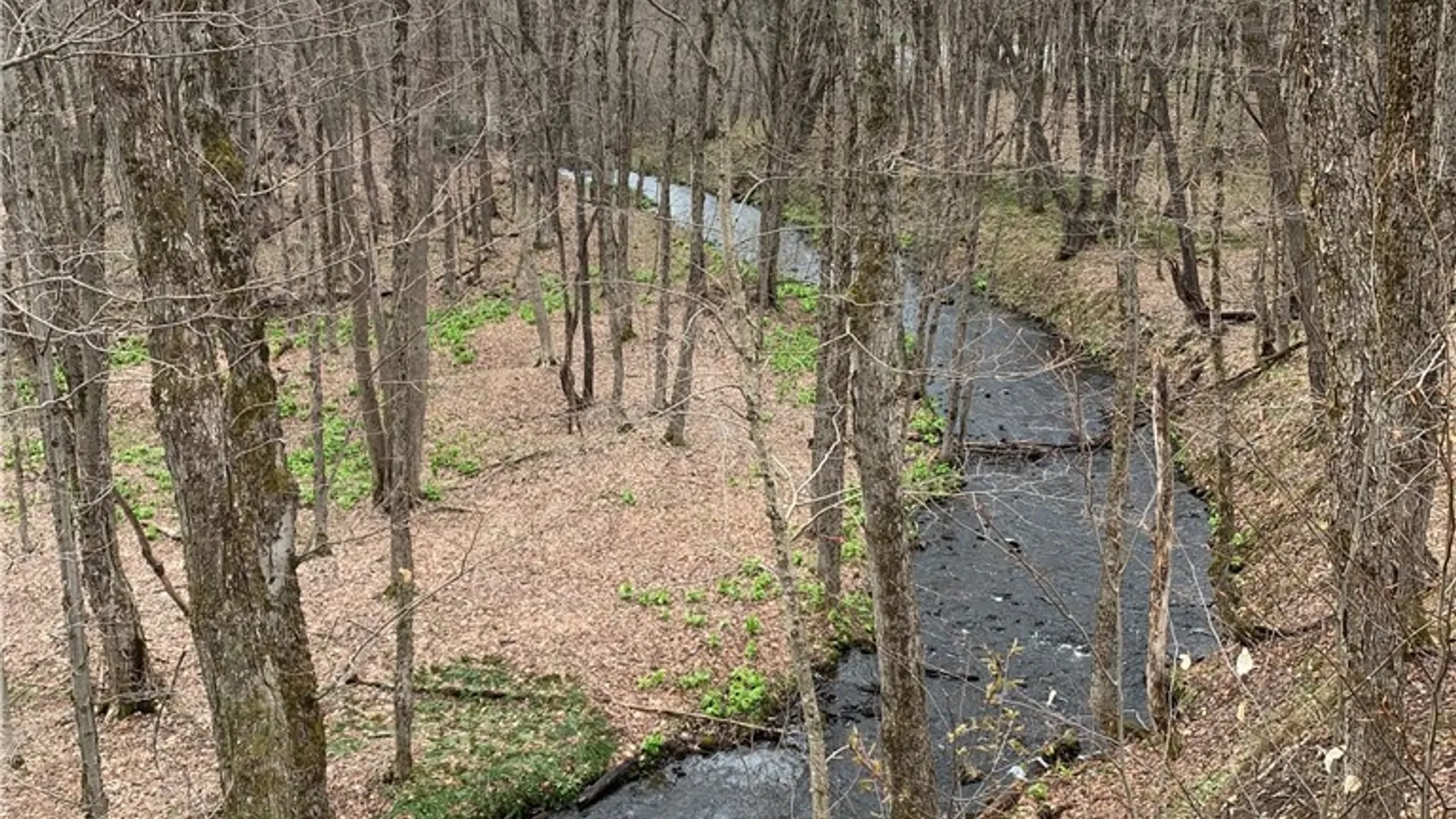 Property at 28401 Waite Road, Worth, NY 13659 5