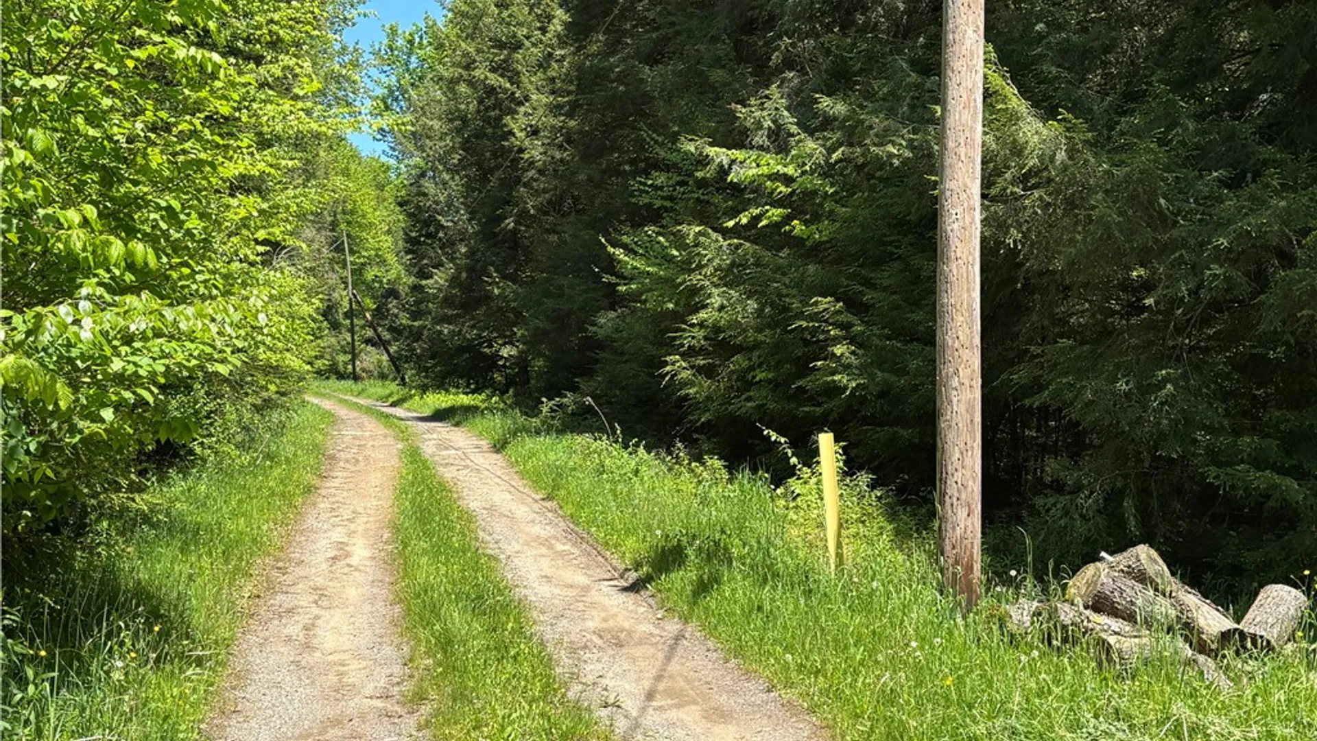 Property at 67 Mill Water Road, Hamlin, PA 16735 21