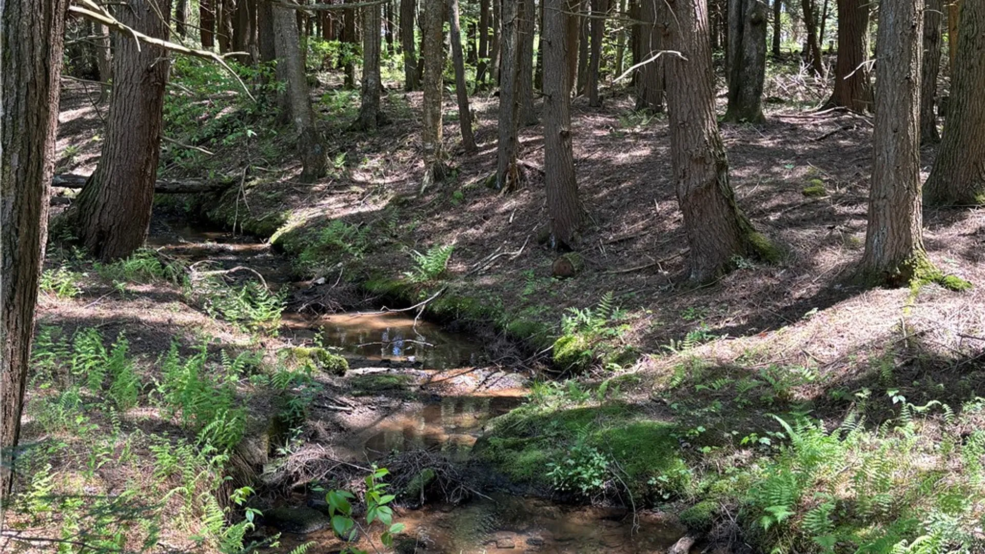 Property at 67 Mill Water Road, Hamlin, PA 16735 3