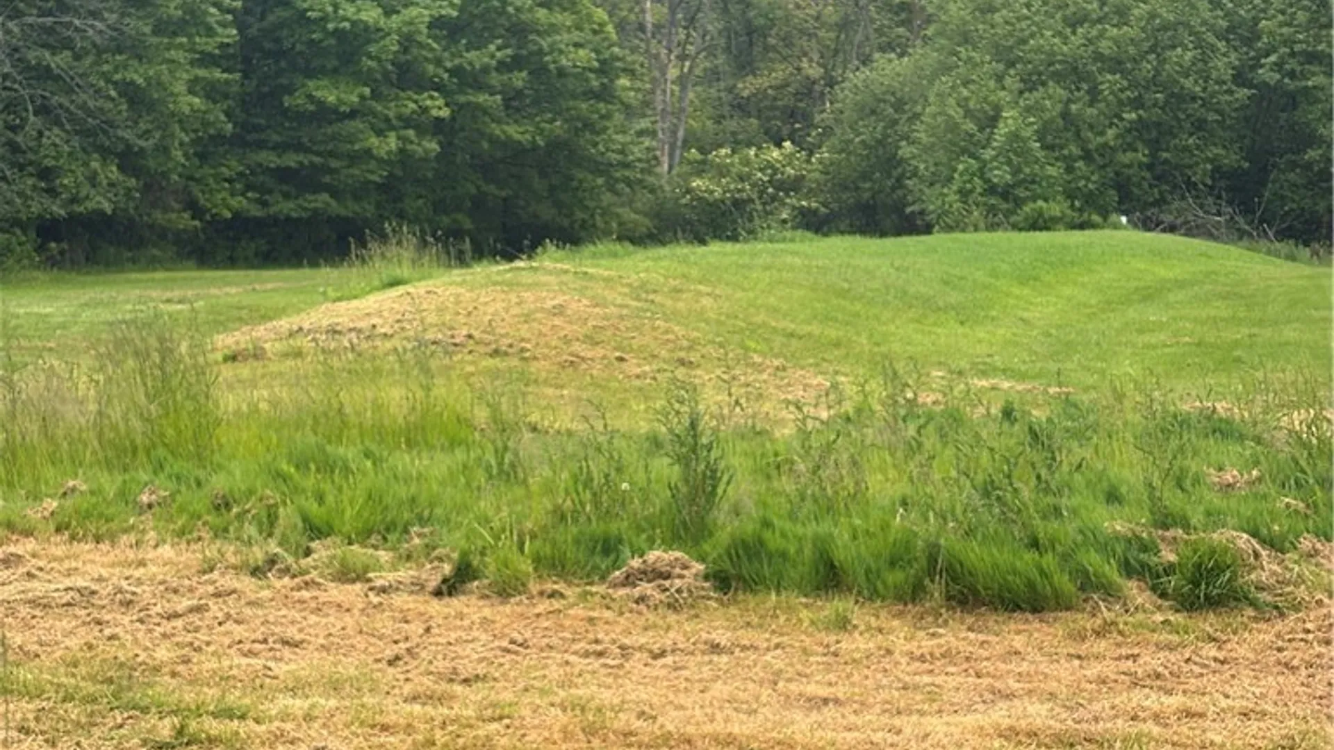 Property at 209 County Route 1a, Scriba, NY 13126 25
