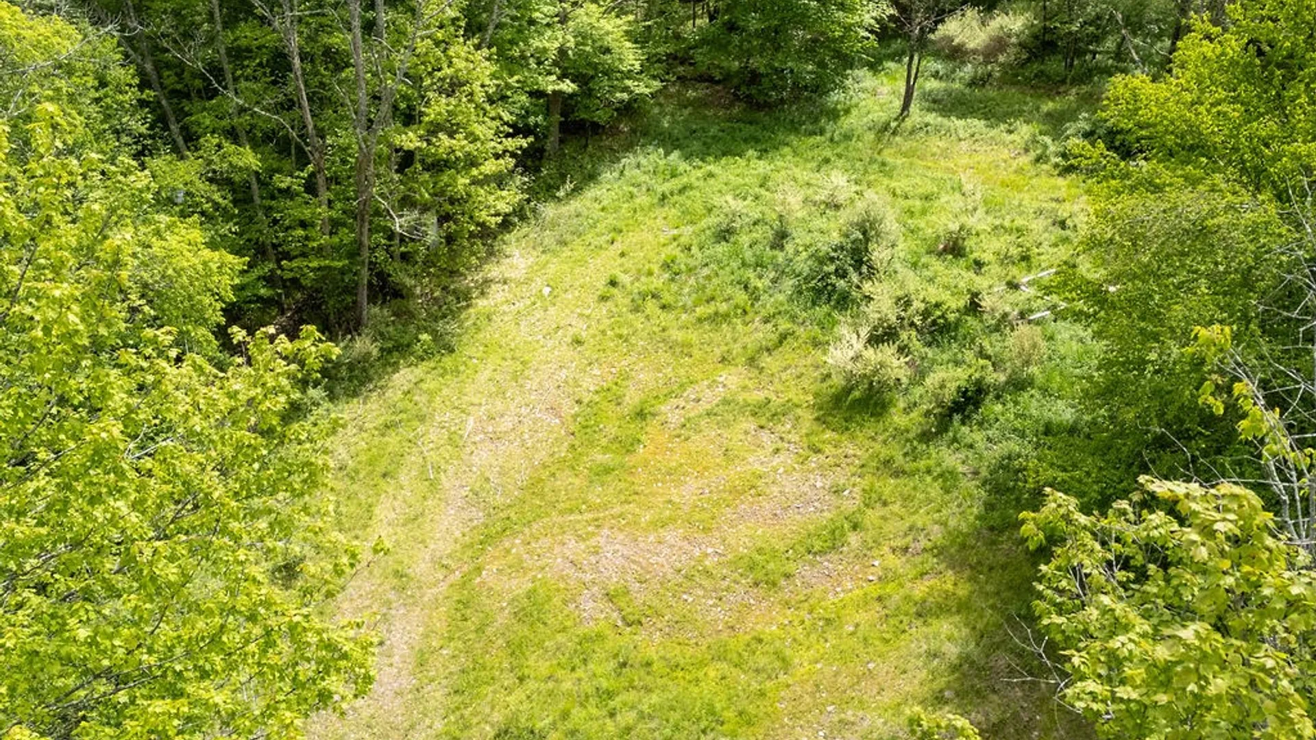 Property at 1361 Weaver Hollow Road, Andes, NY 13731 10