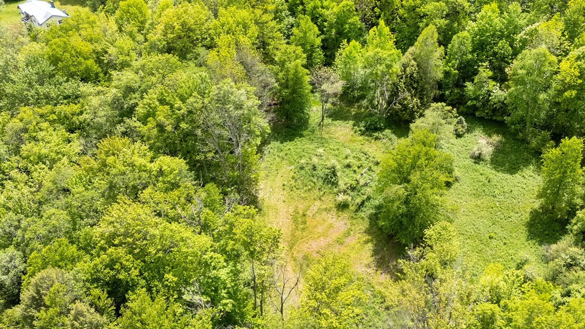 Property at 1361 Weaver Hollow Road, Andes, NY 13731 12