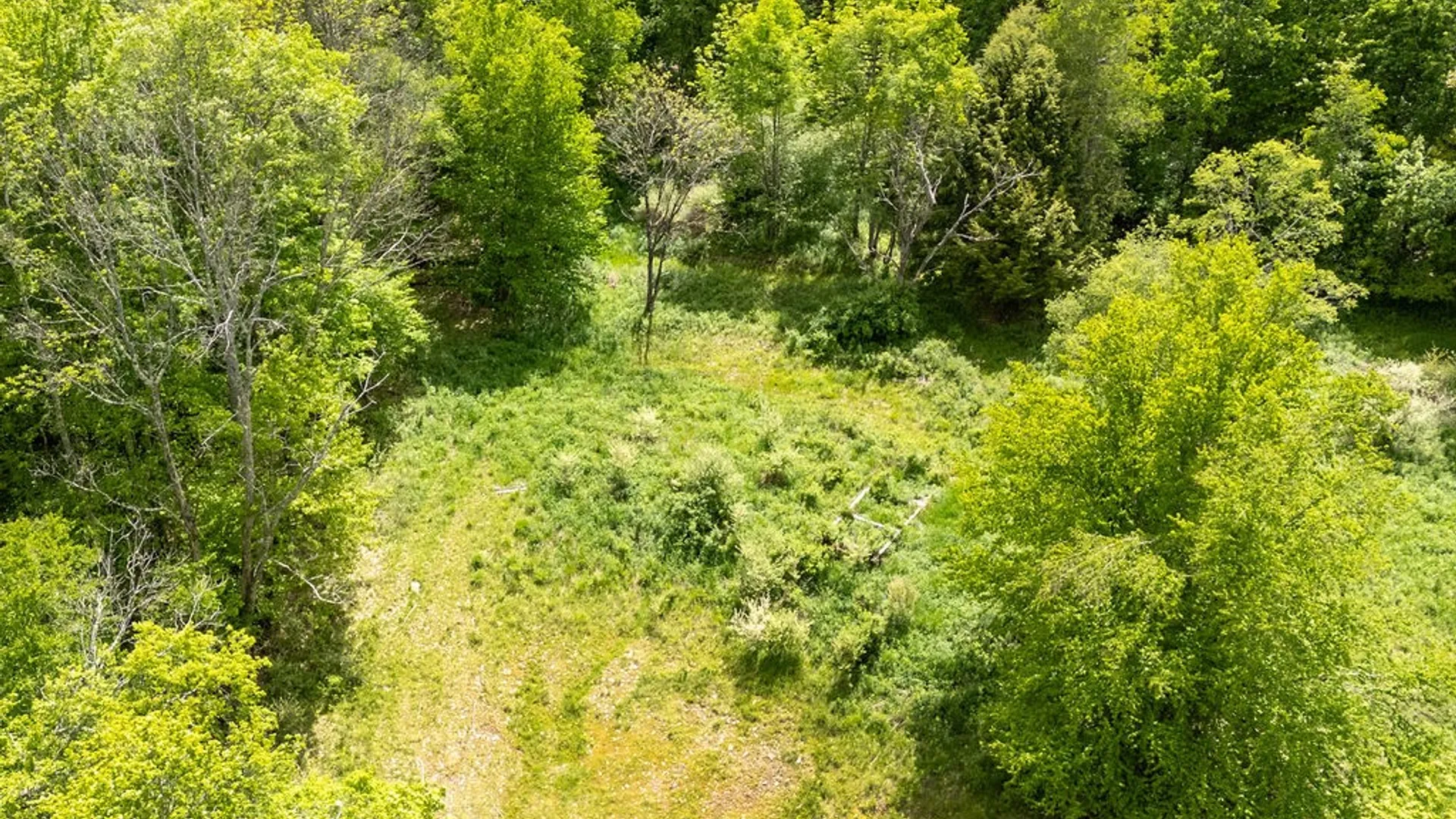 Property at 1361 Weaver Hollow Road, Andes, NY 13731 14