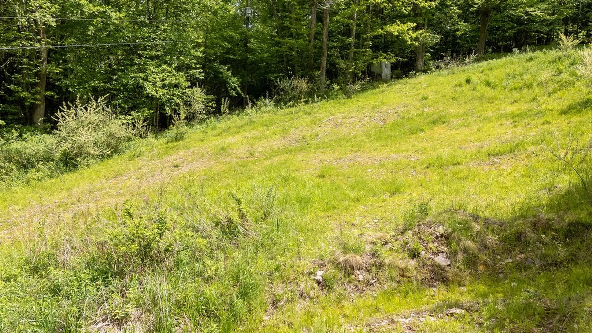 Property at 1361 Weaver Hollow Road, Andes, NY 13731 15