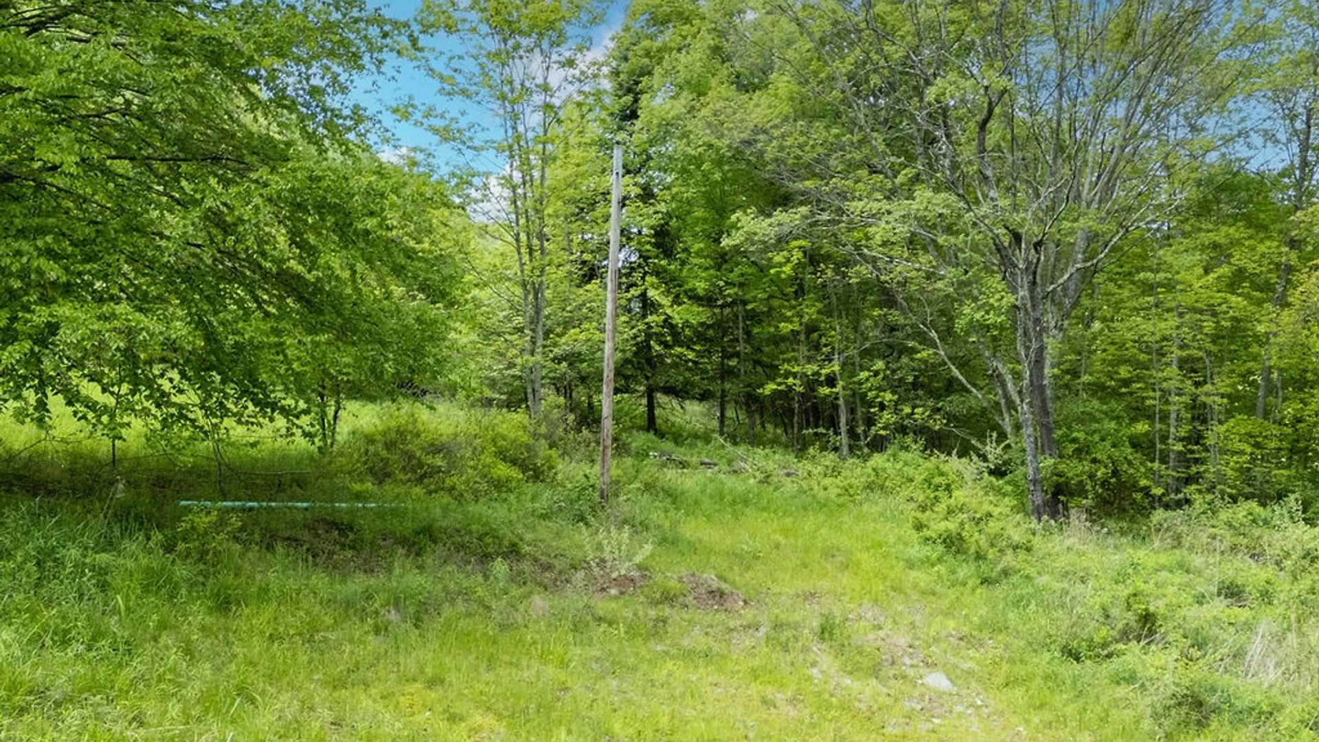 Property at 1361 Weaver Hollow Road, Andes, NY 13731 16