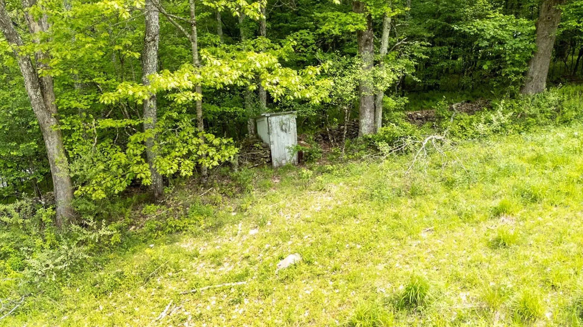 Property at 1361 Weaver Hollow Road, Andes, NY 13731 17
