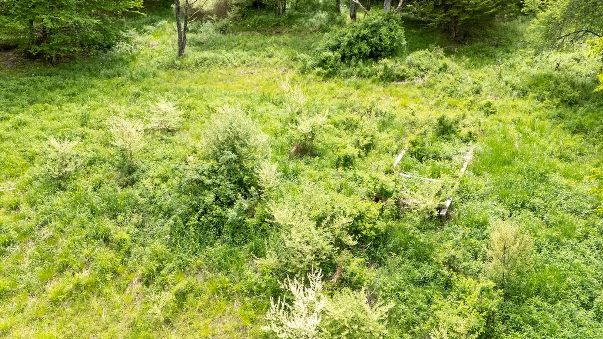 Property at 1361 Weaver Hollow Road, Andes, NY 13731 18