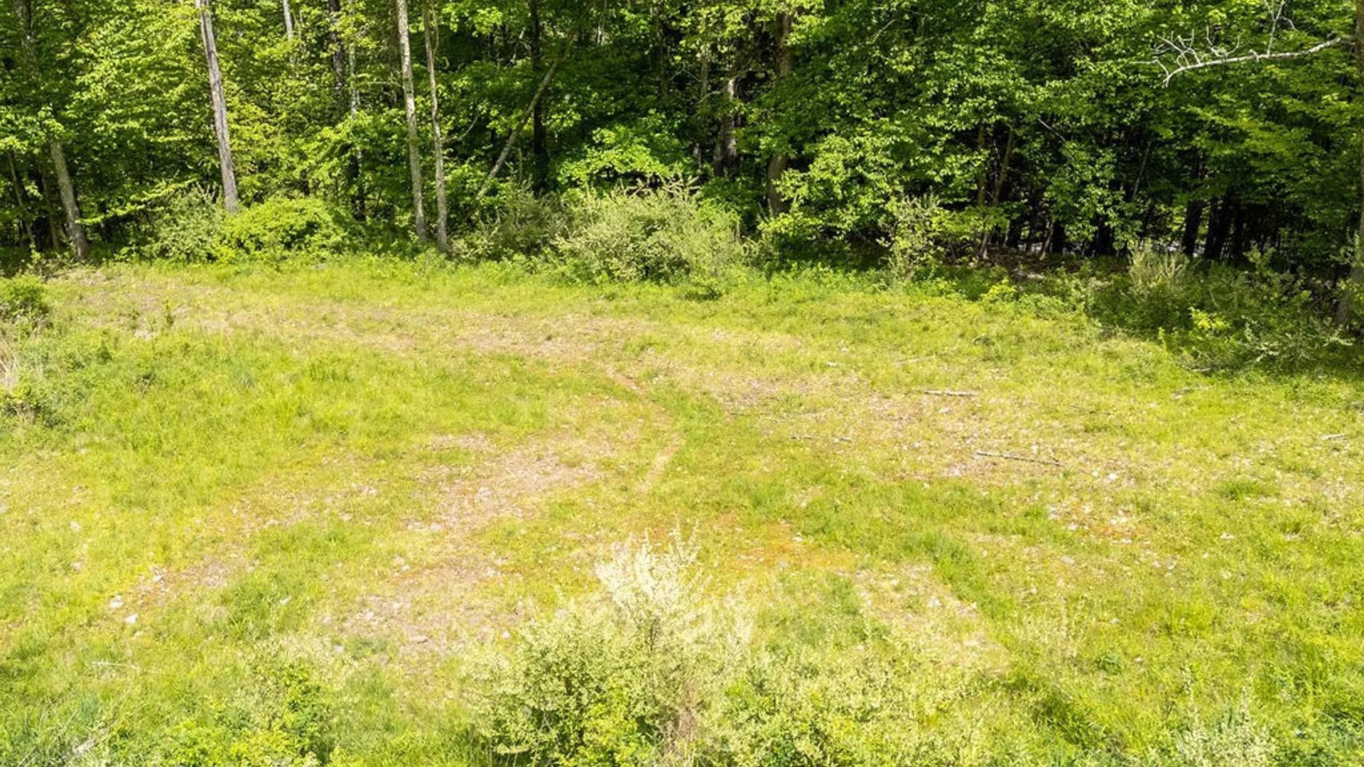 Property at 1361 Weaver Hollow Road, Andes, NY 13731 19