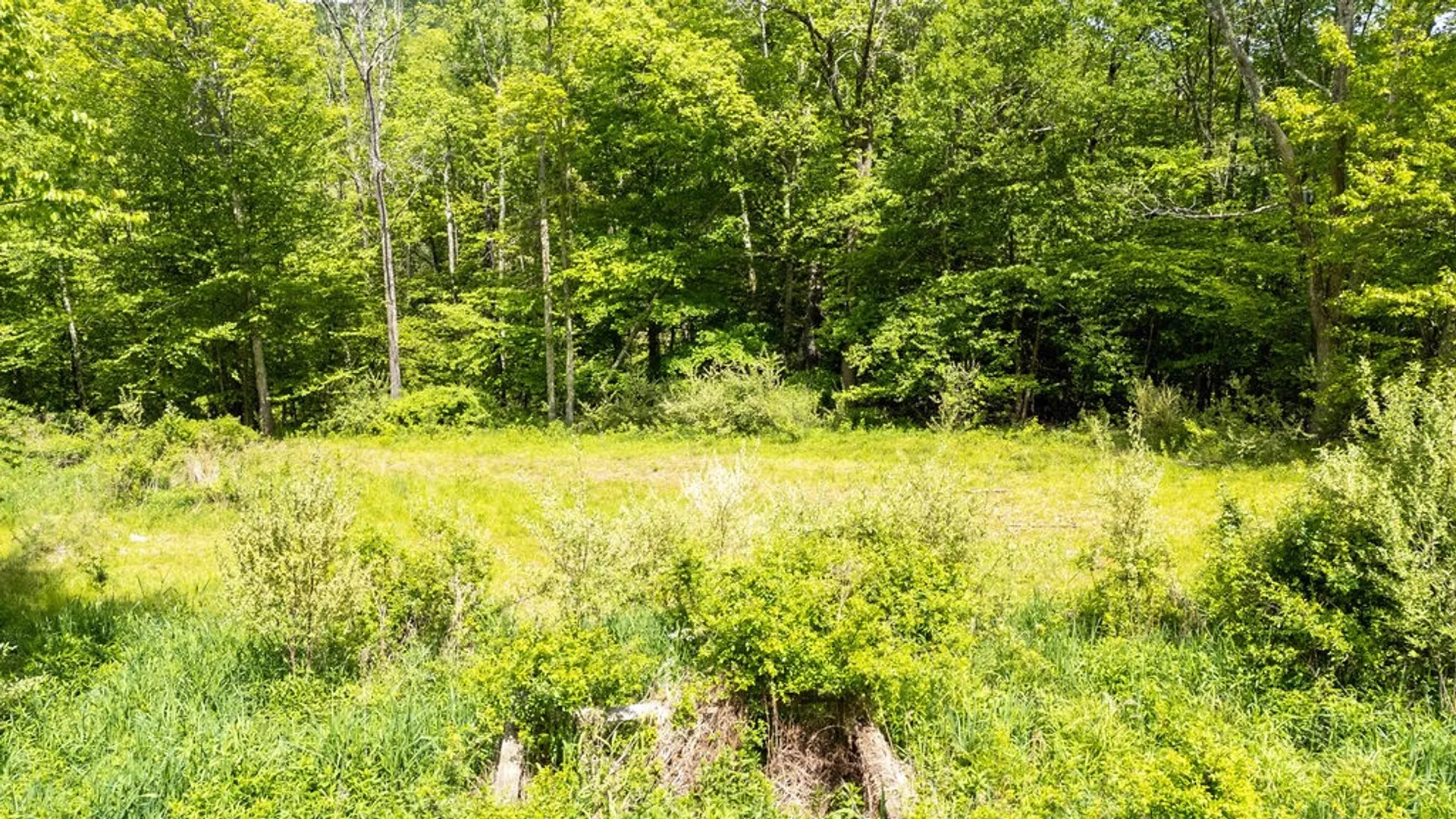 Property at 1361 Weaver Hollow Road, Andes, NY 13731 20