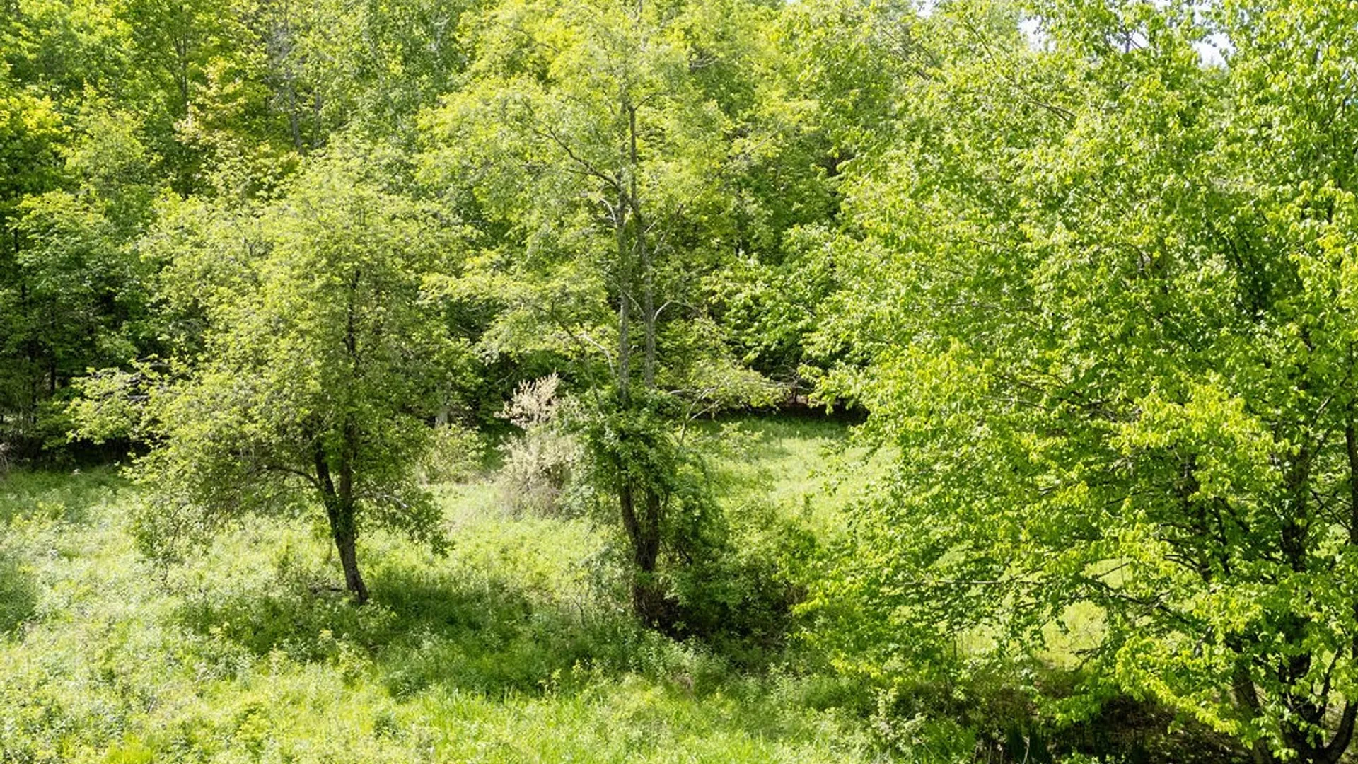 Property at 1361 Weaver Hollow Road, Andes, NY 13731 21