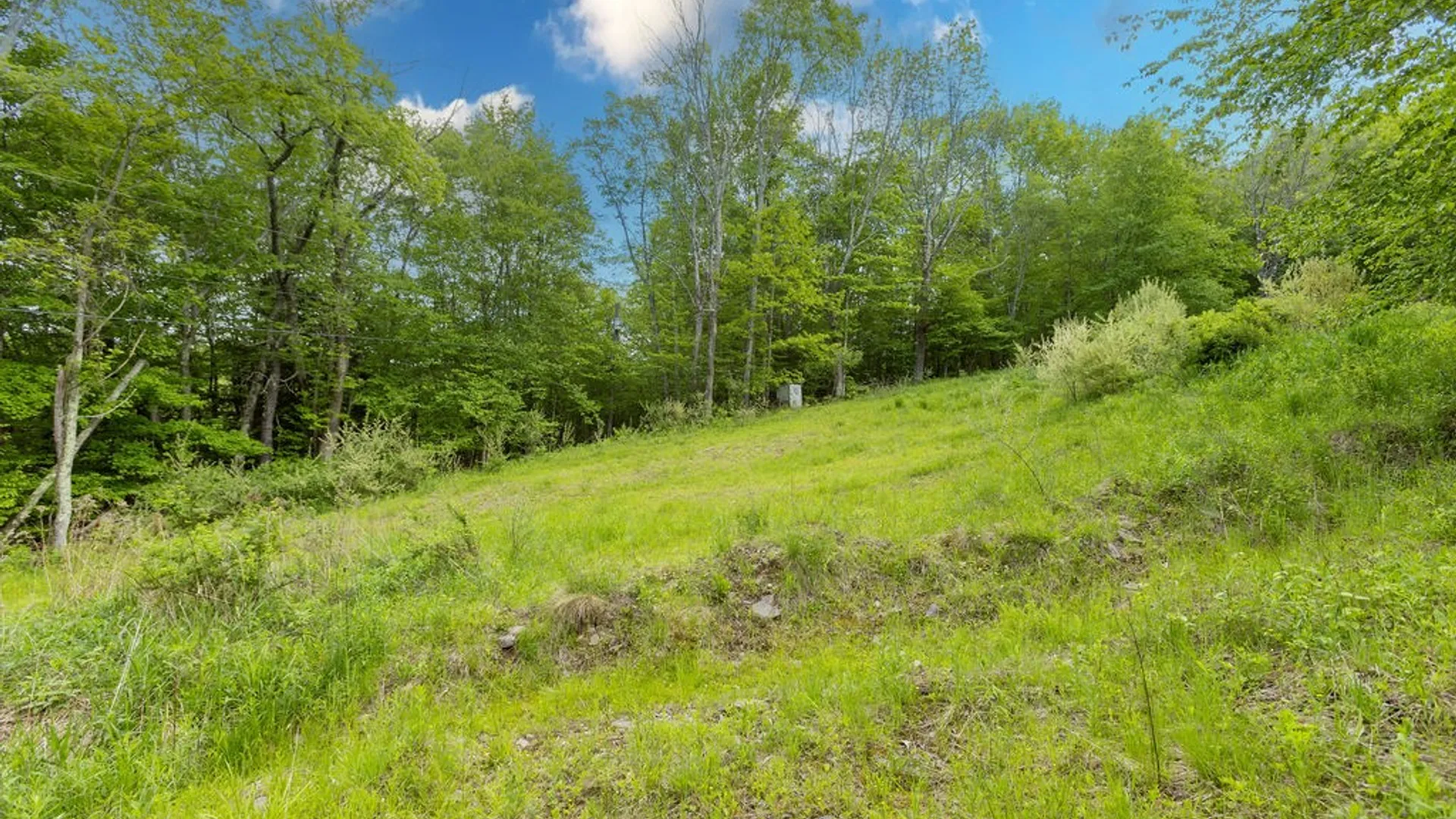 Property at 1361 Weaver Hollow Road, Andes, NY 13731 22
