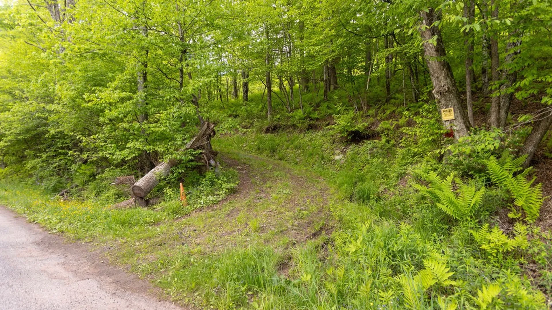 Property at 1361 Weaver Hollow Road, Andes, NY 13731 4