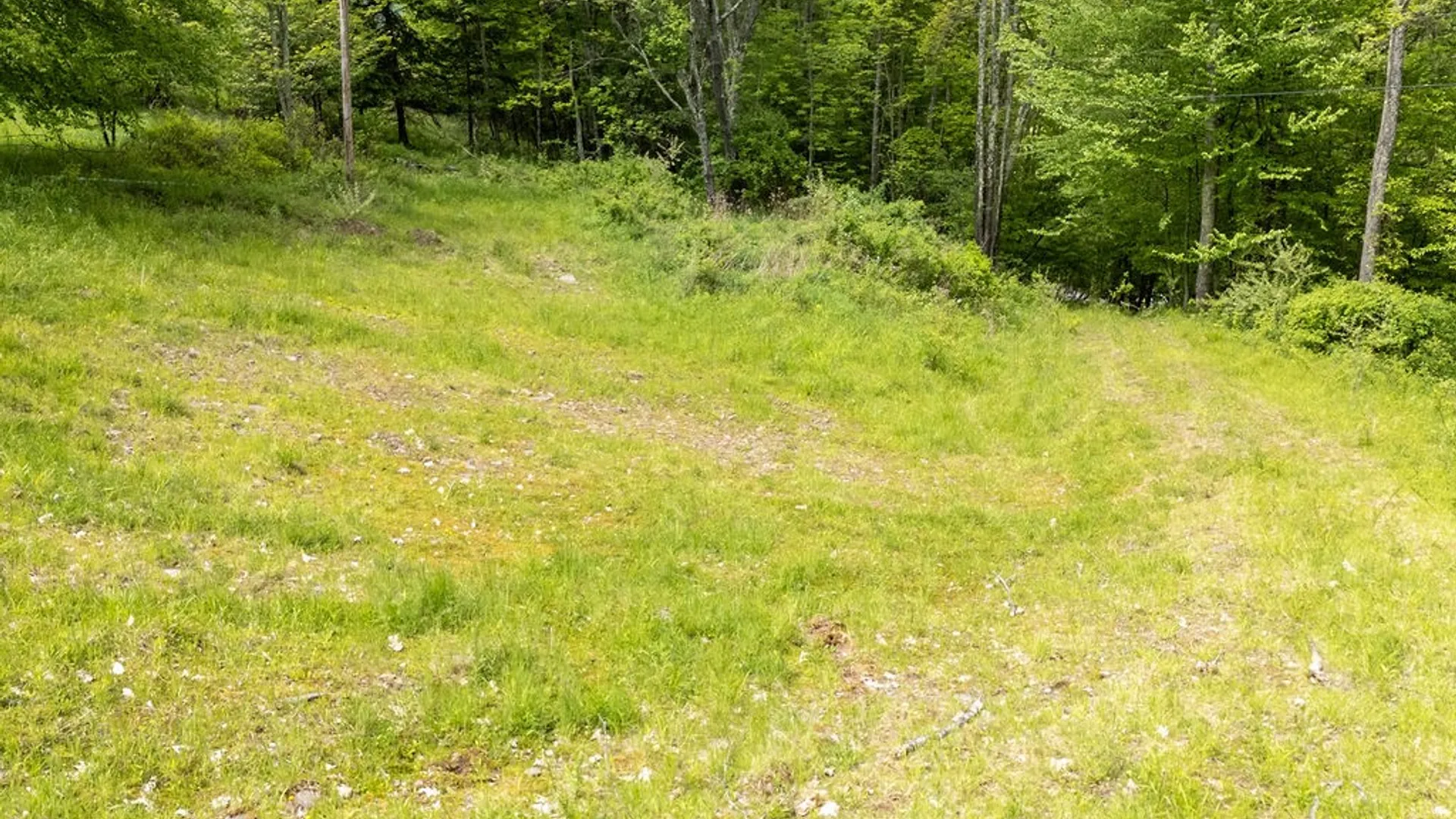Property at 1361 Weaver Hollow Road, Andes, NY 13731 7